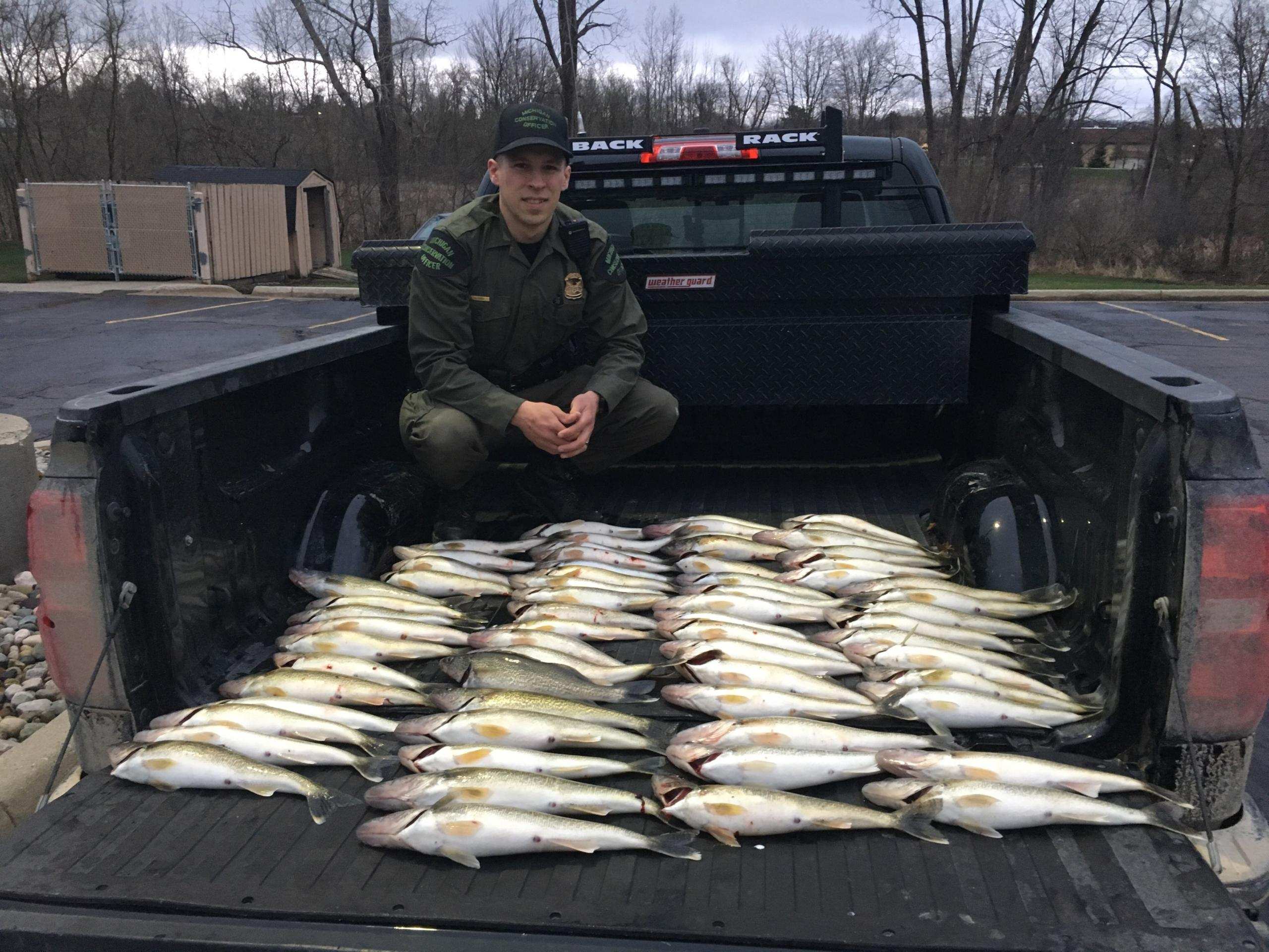 Three West Michigan men caught with 80 walleye, more than 5 times legal limit