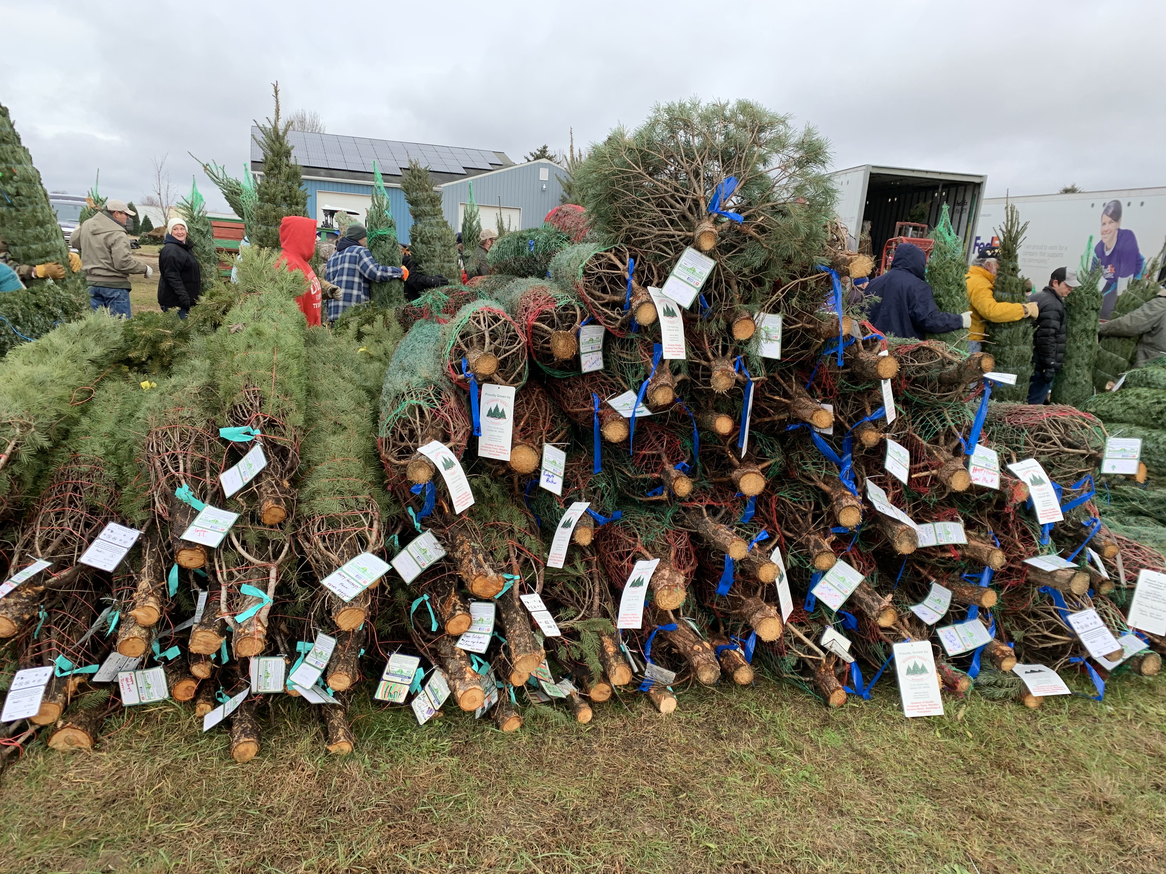 Volunteers load 500 Christmas trees for Trees for Troops at Wahmhoff ...