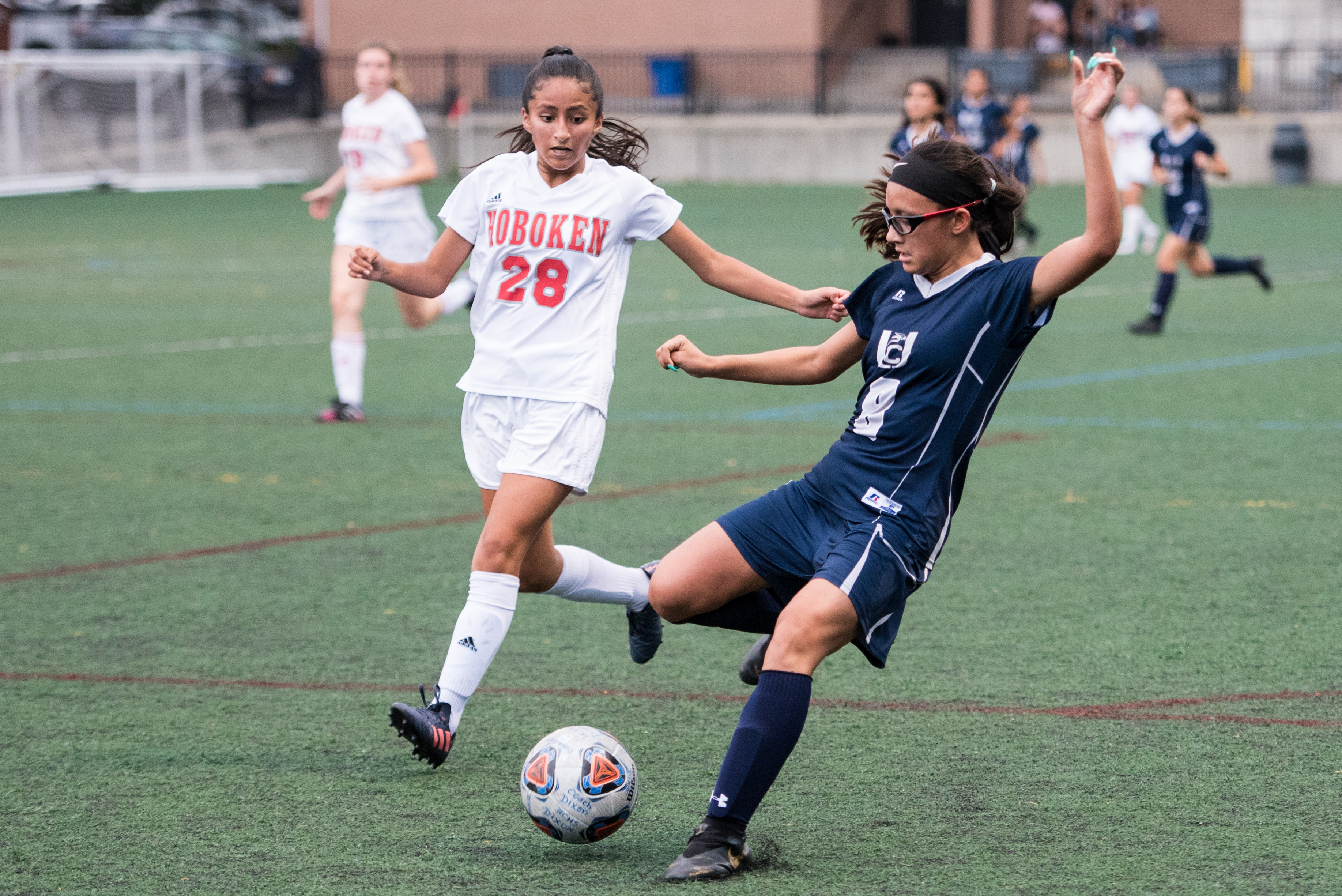 Osmir külotlarining jinsiy aloqa fotosuratlari
