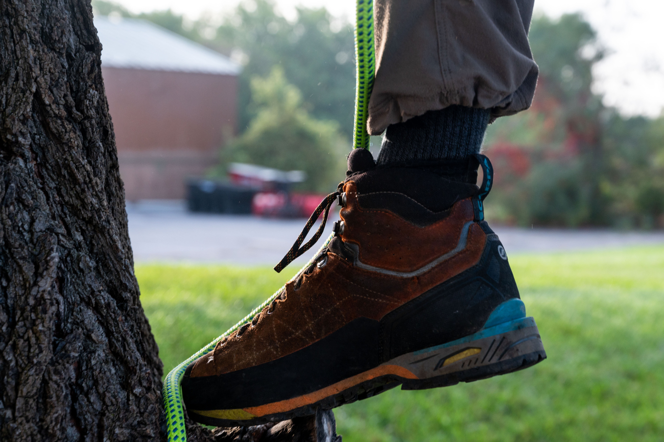 Guardian Tree Experts climbers win Michigan Tree Climbing Championship ...