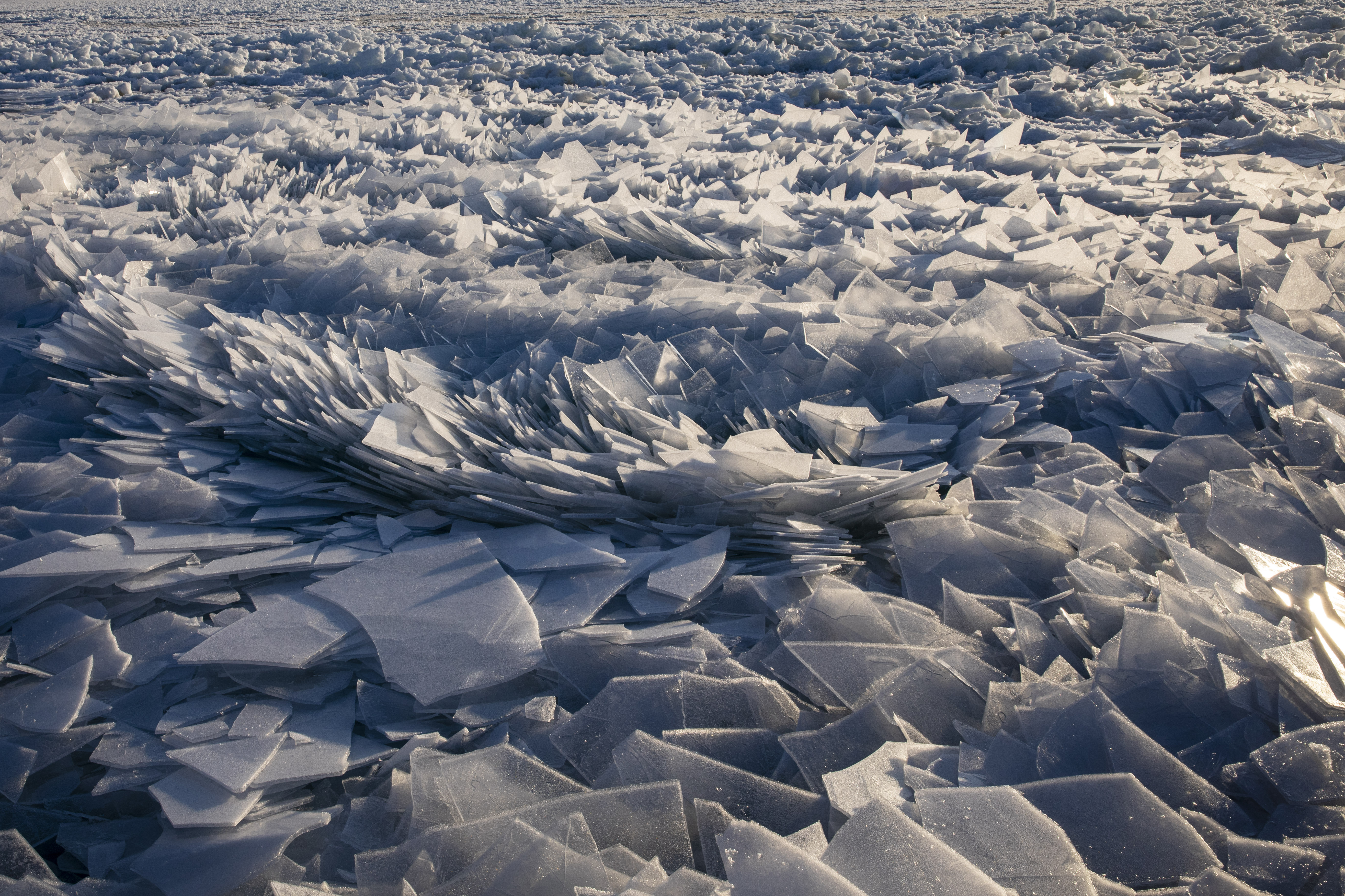 Gorgeous ice shards are piling up along Lake Michigan - mlive.com