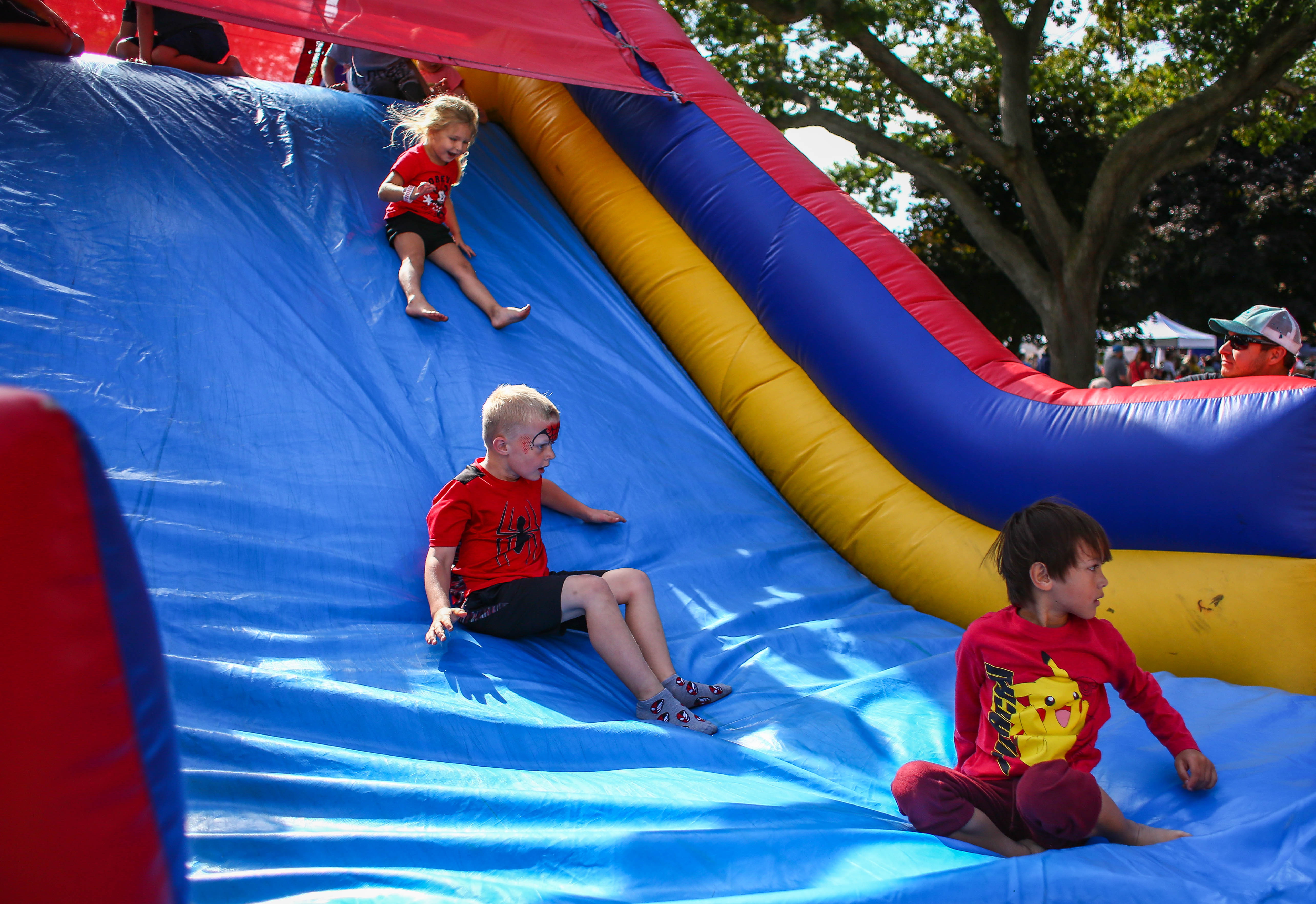Hundreds gather for 4th annual Polish Festival - mlive.com
