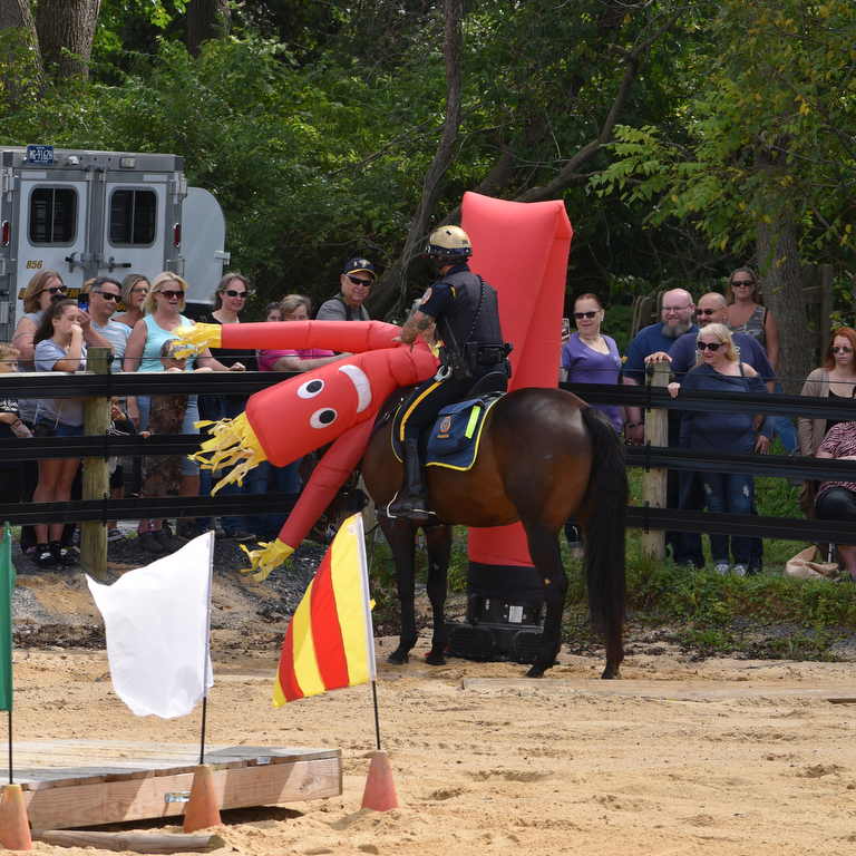 Bethlehem Mounted Police mark 10th anniversary with open house ...