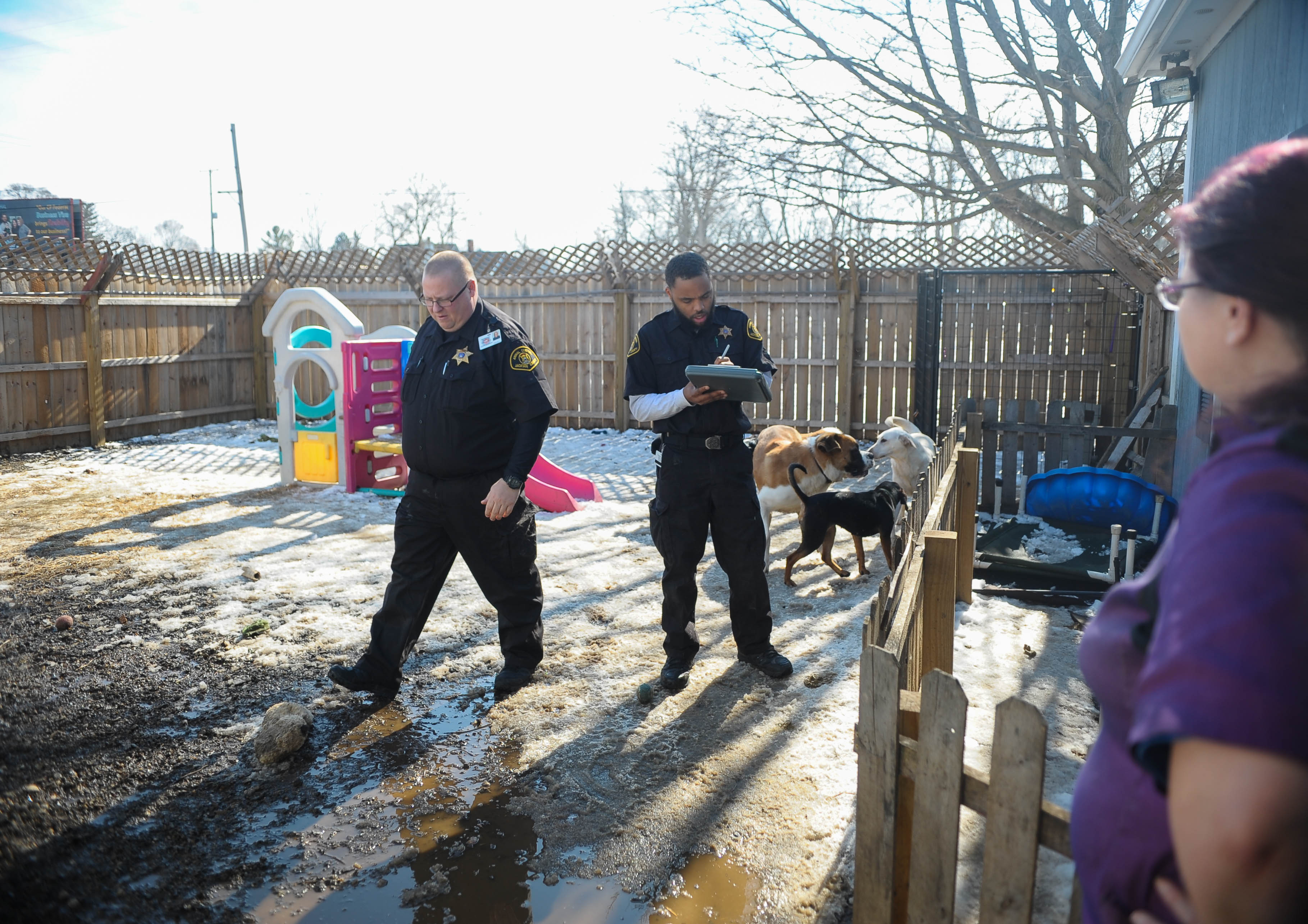 Jackson County Animal Control back after being shut down in 2014 ...
