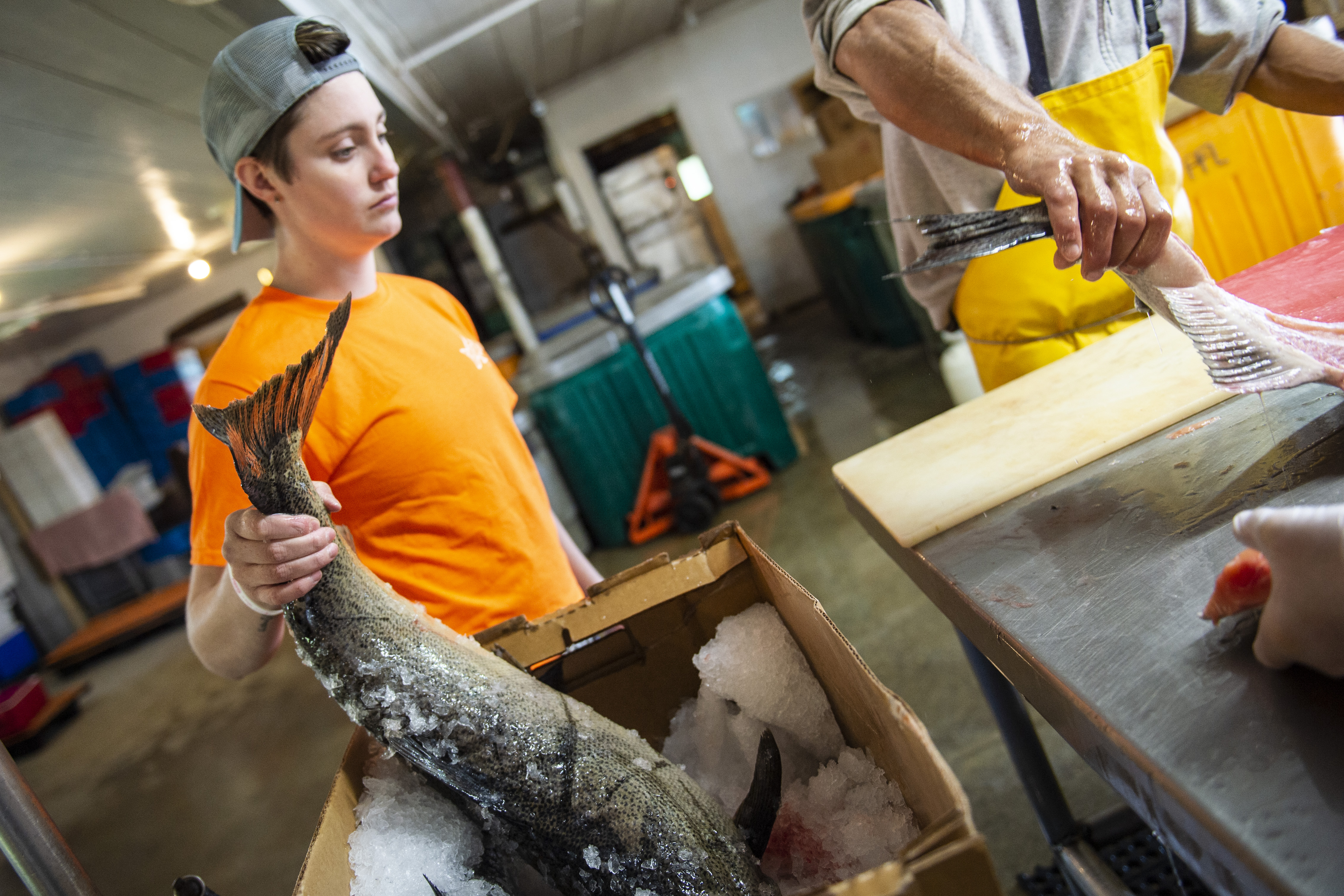 Proposed fishing regulations could tip the scales in the Saginaw Bay -  mlive.com