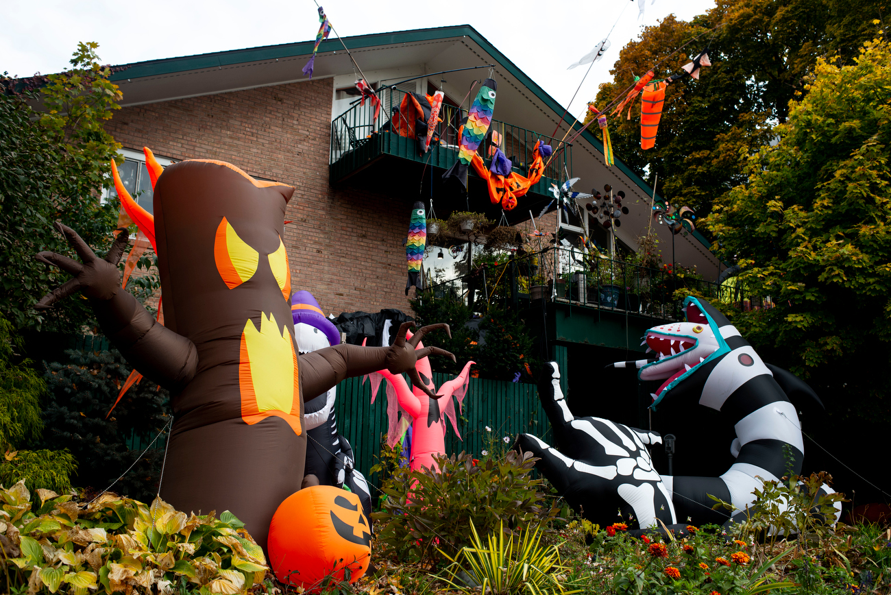 Flipboard Send us photos of your spookiest Ann Arborarea Halloween