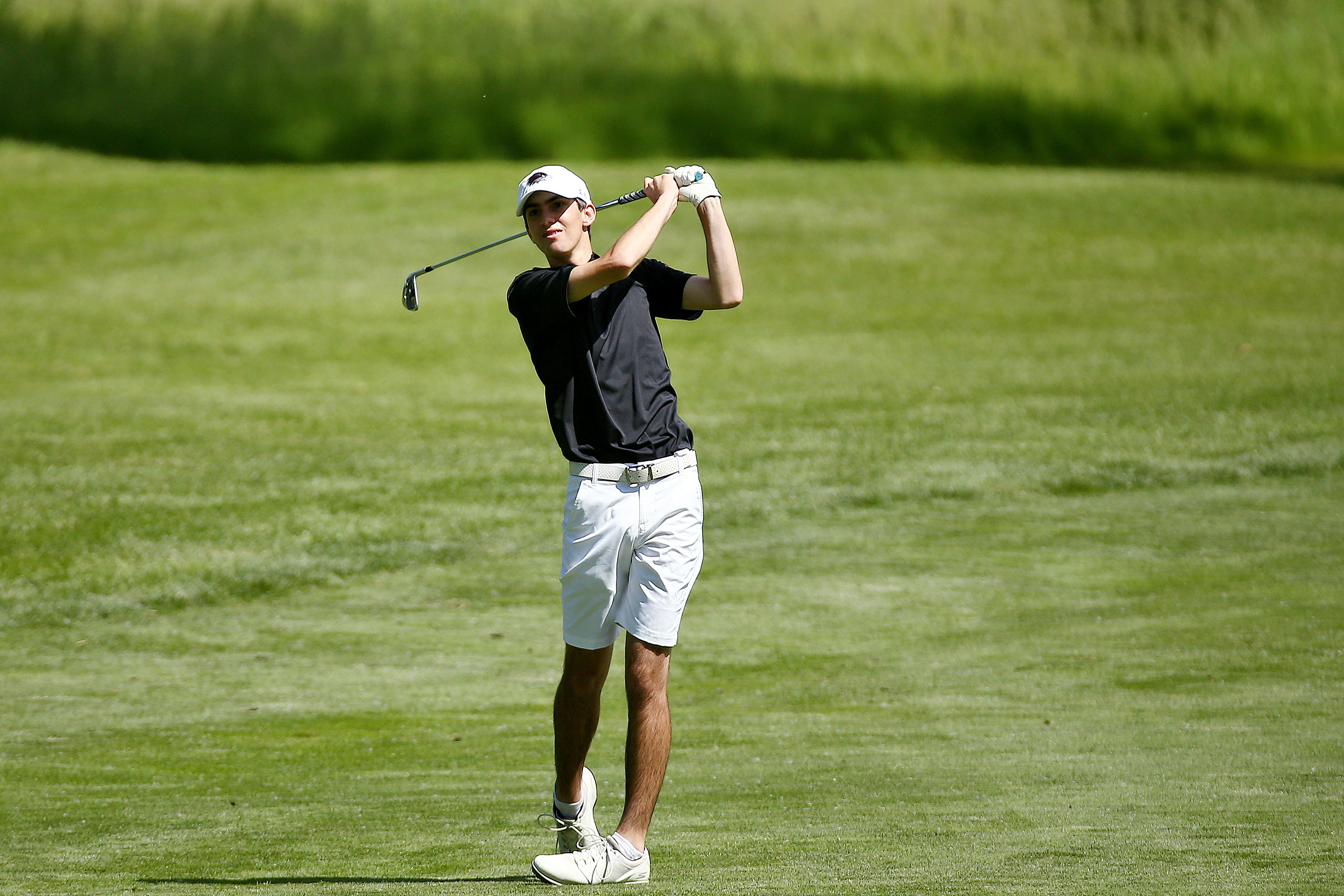 MHSAA Division 2 boys golf ginals - June 8, 2019 - mlive.com