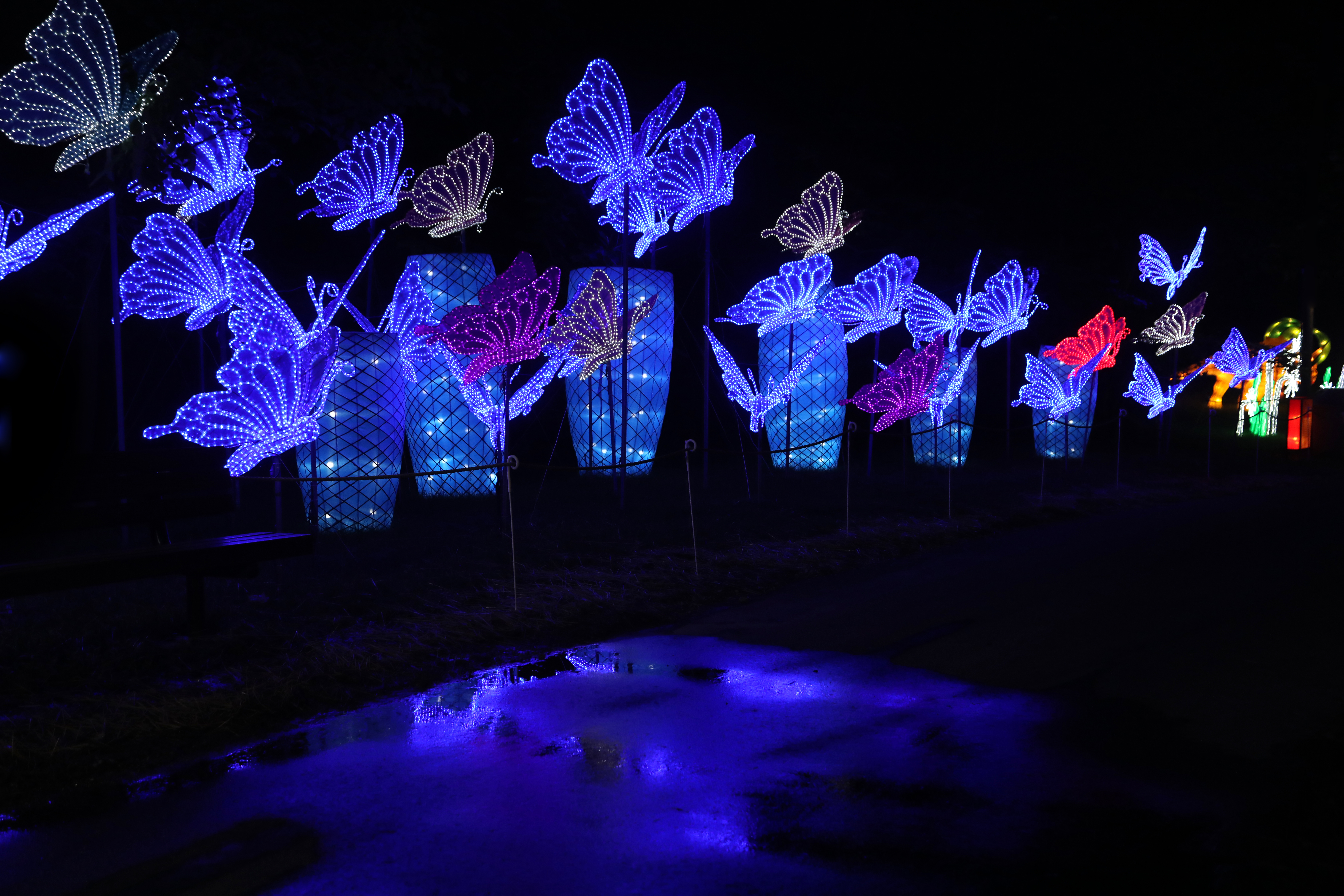 Asian Lantern Festival returns to Cleveland Metroparks Zoo, with