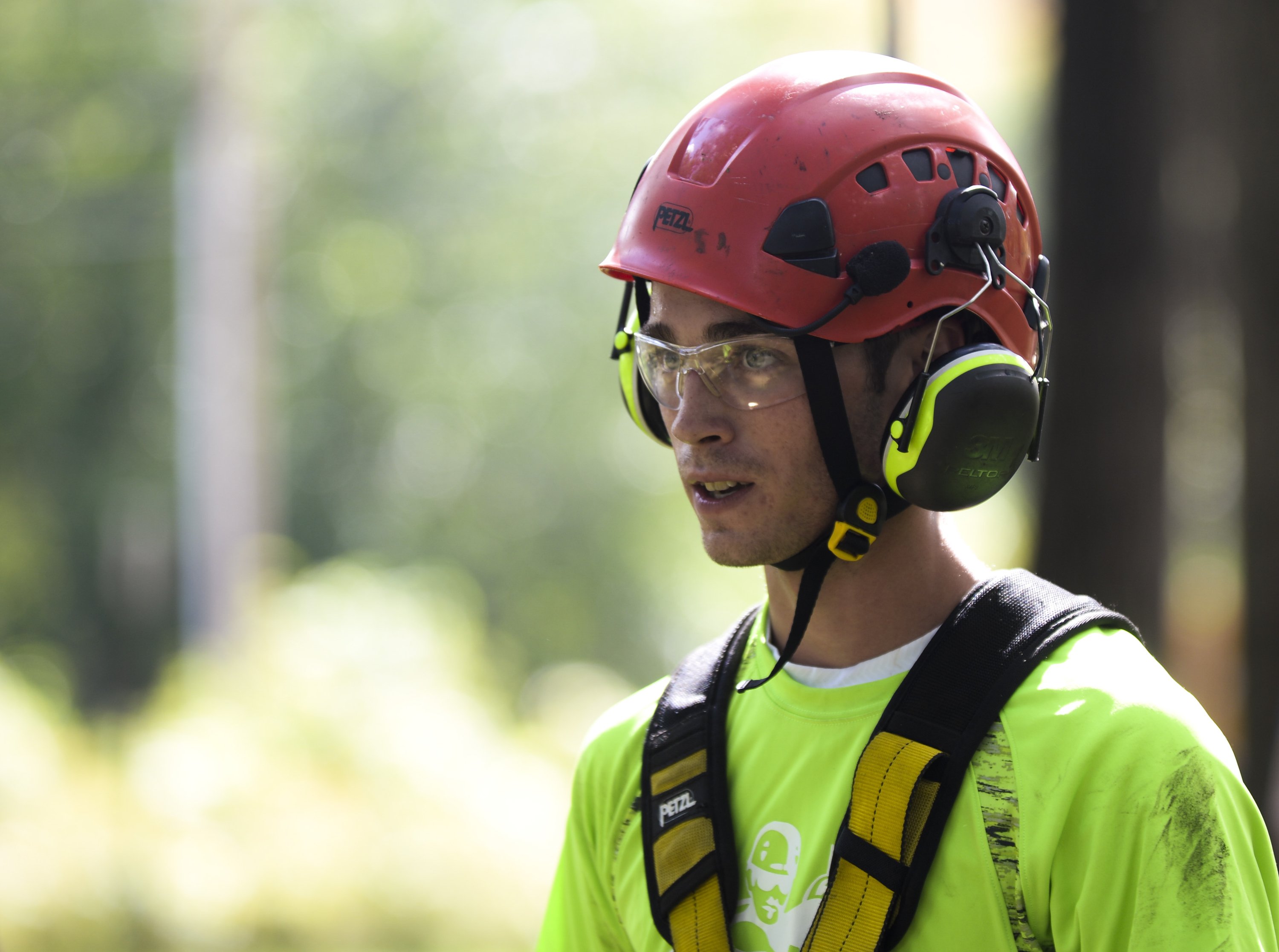 Michigan Tree Climbing Championship coming to Traverse City - mlive.com