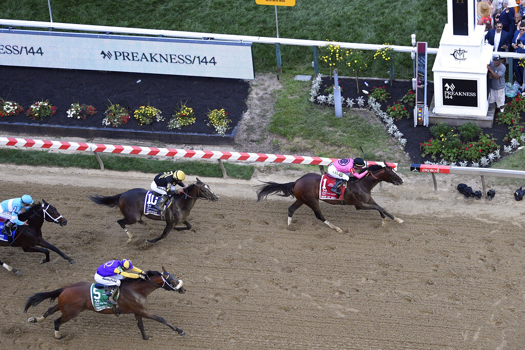 Preakness Stakes 2019