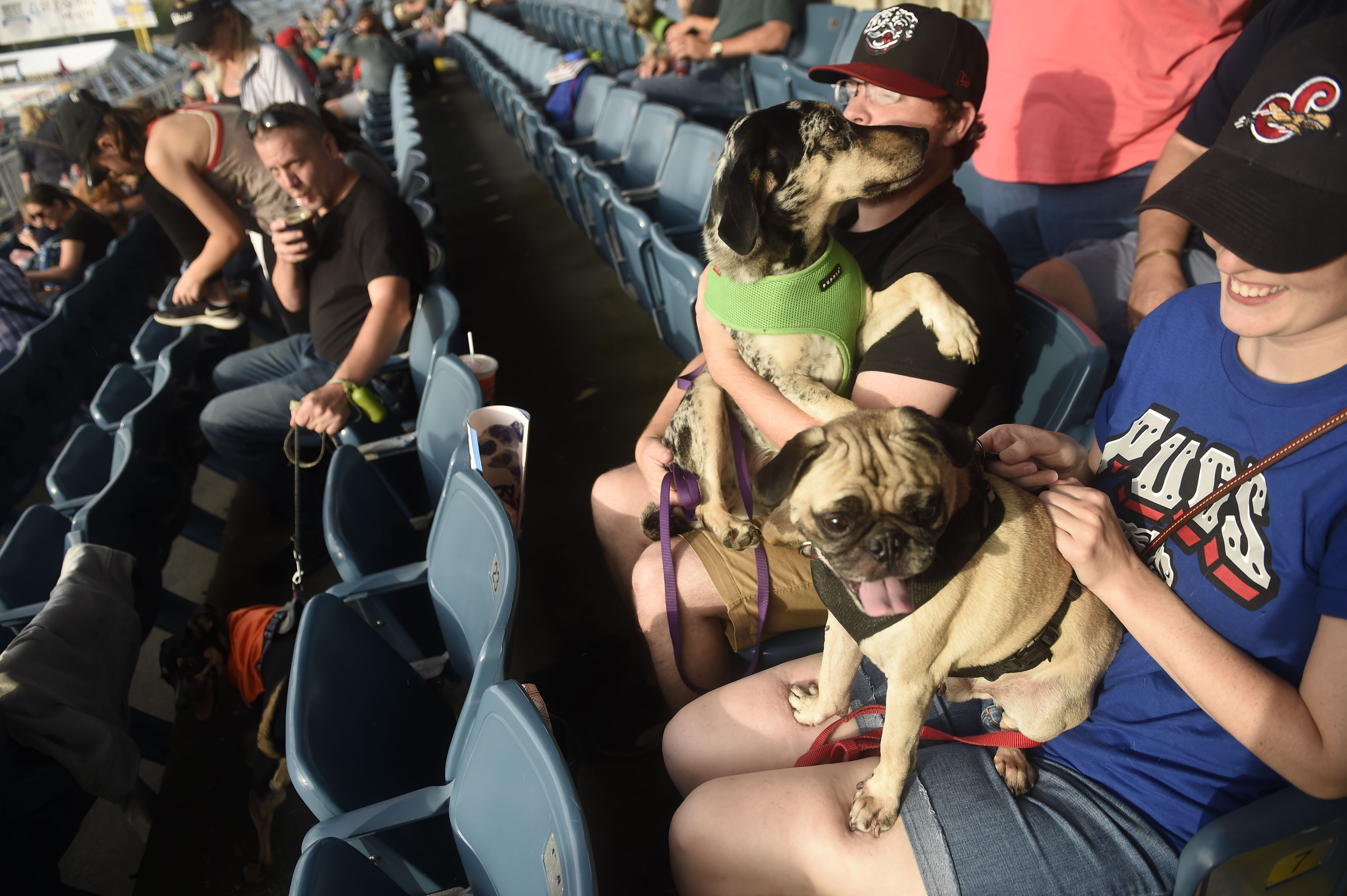 Bark in the Park Night at NBT Bank Stadium Bark in the Park Night at NBT Bank Stadium