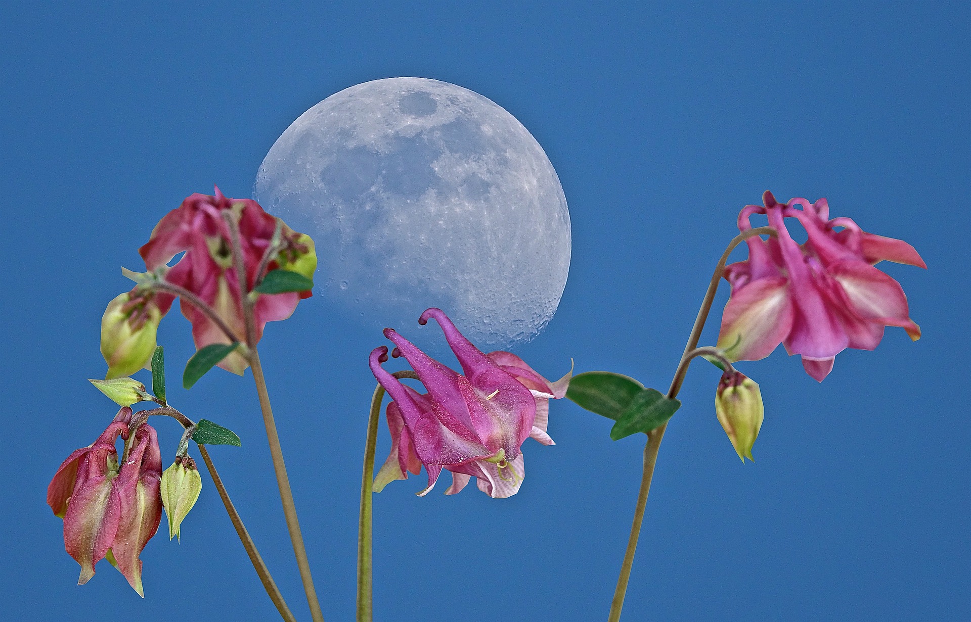 Blue Moon Flower Moon 2019 Sevilla Lanueva
