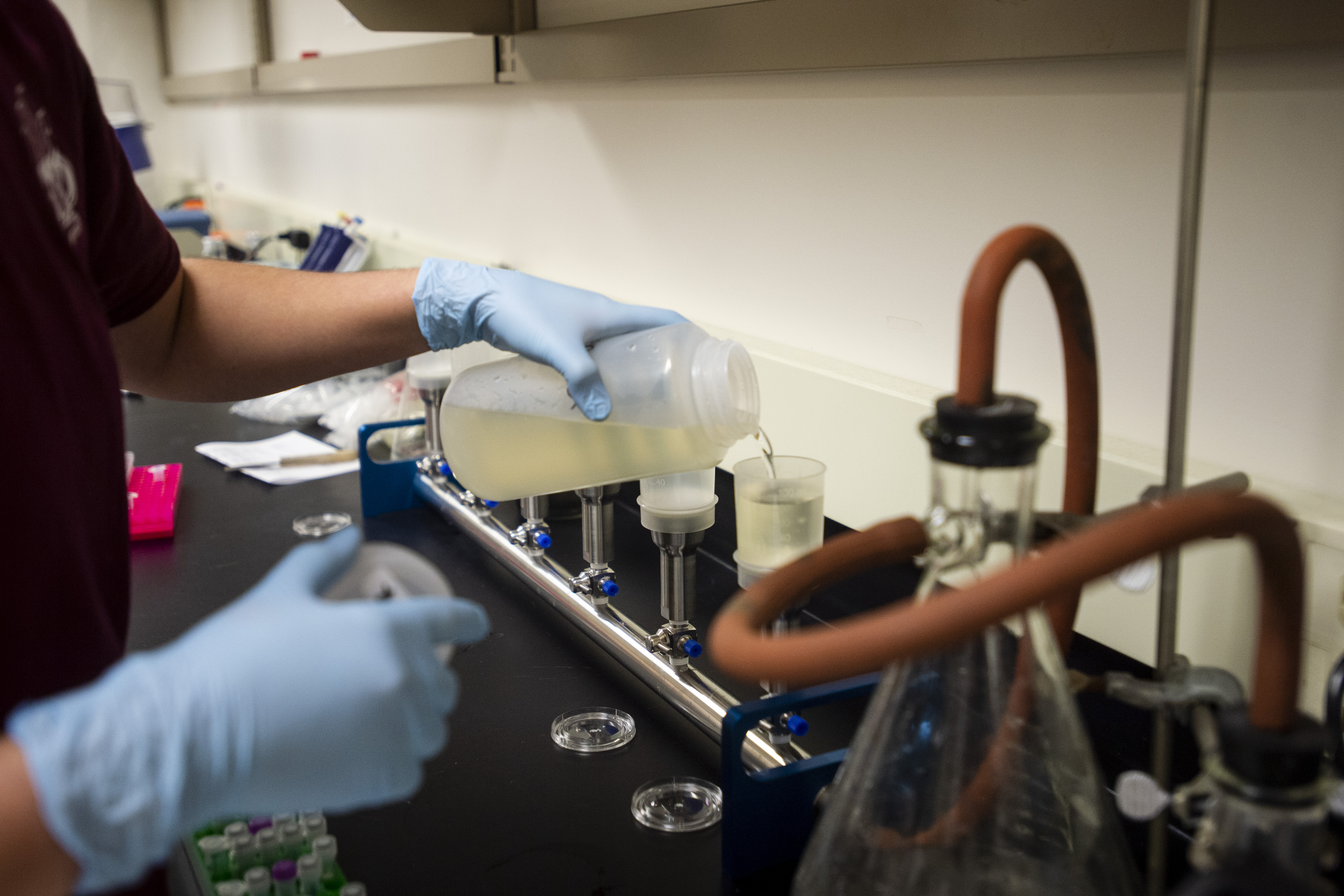 Flint water tests OK for lead but customers still must be notified of violation - MLive.com