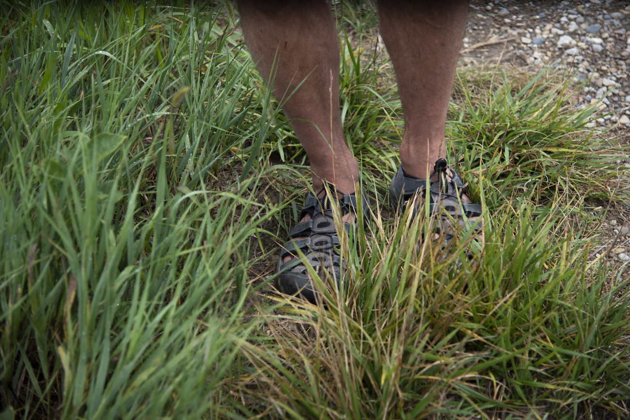 Scio Township Land Preservation Commission purchases plot of land