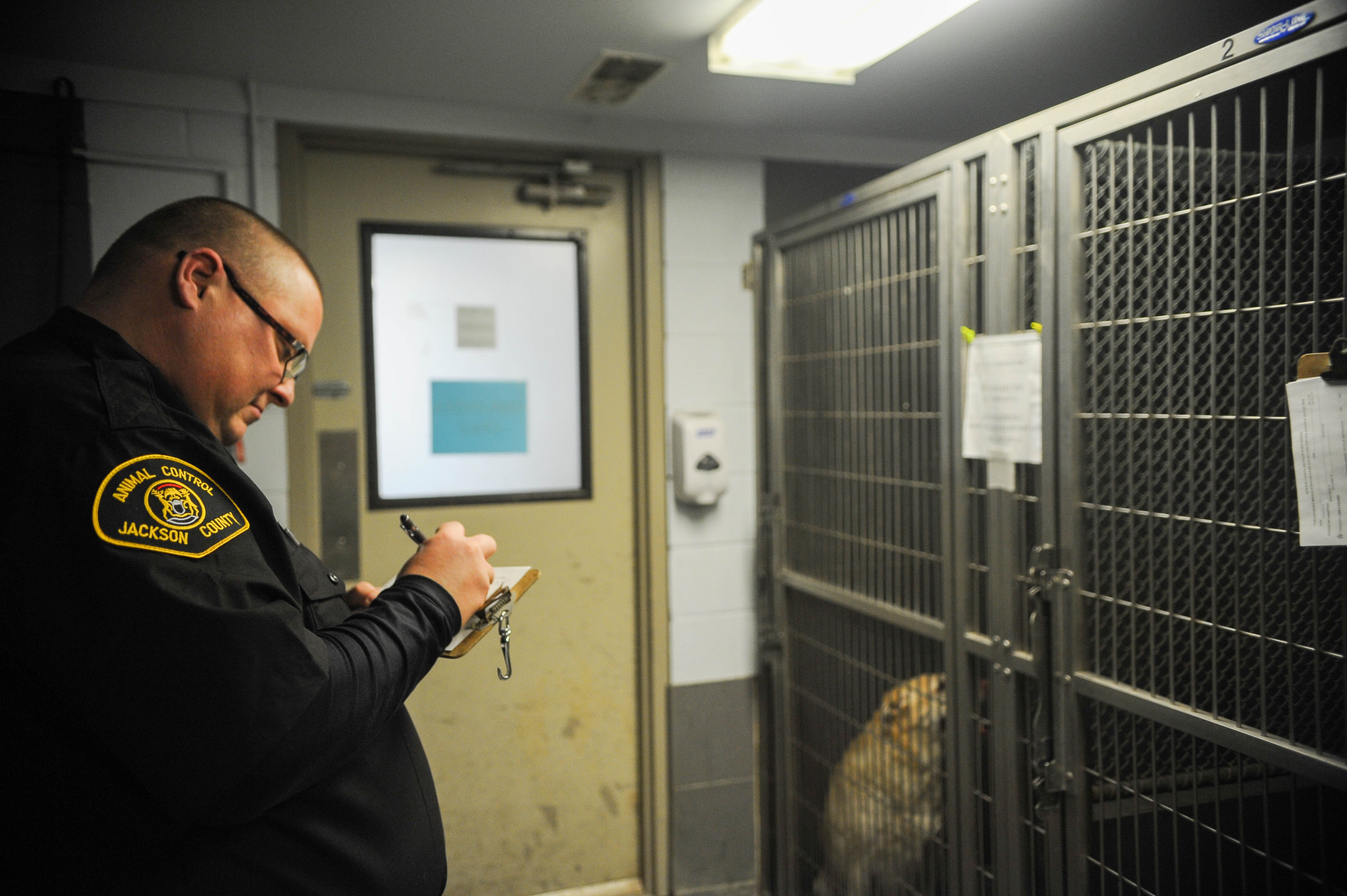 Jackson County Animal Control back after being shut down in 2014 ...