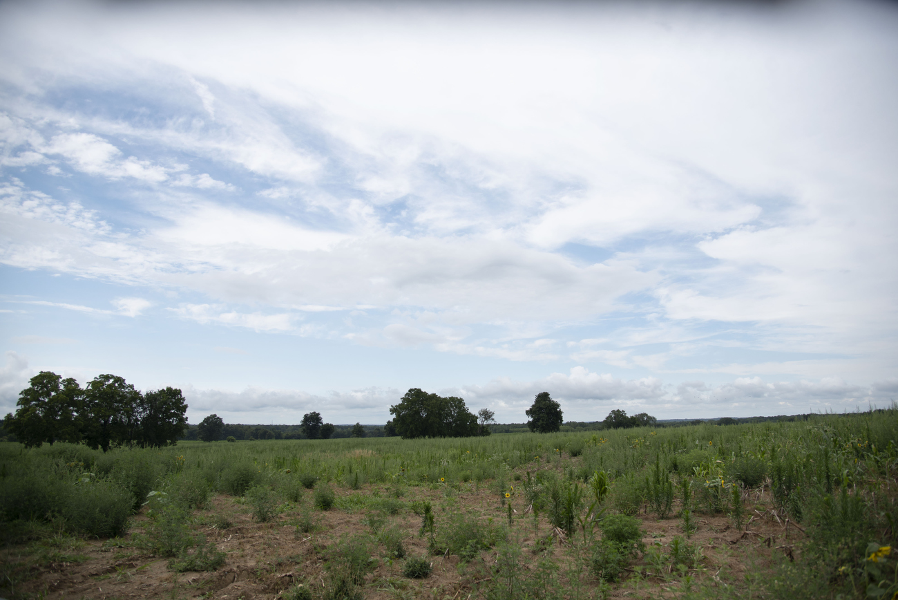 Scio Township Land Preservation Commission purchases plot of land