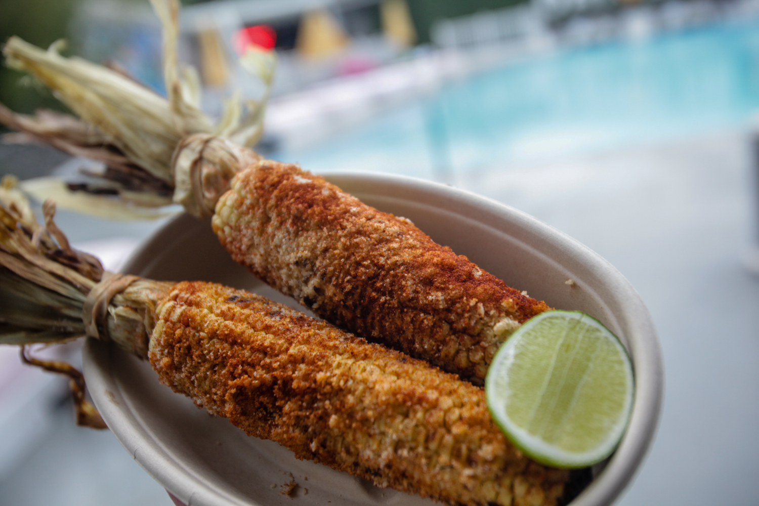 Vesper and Germantown Garden in Philadelphia