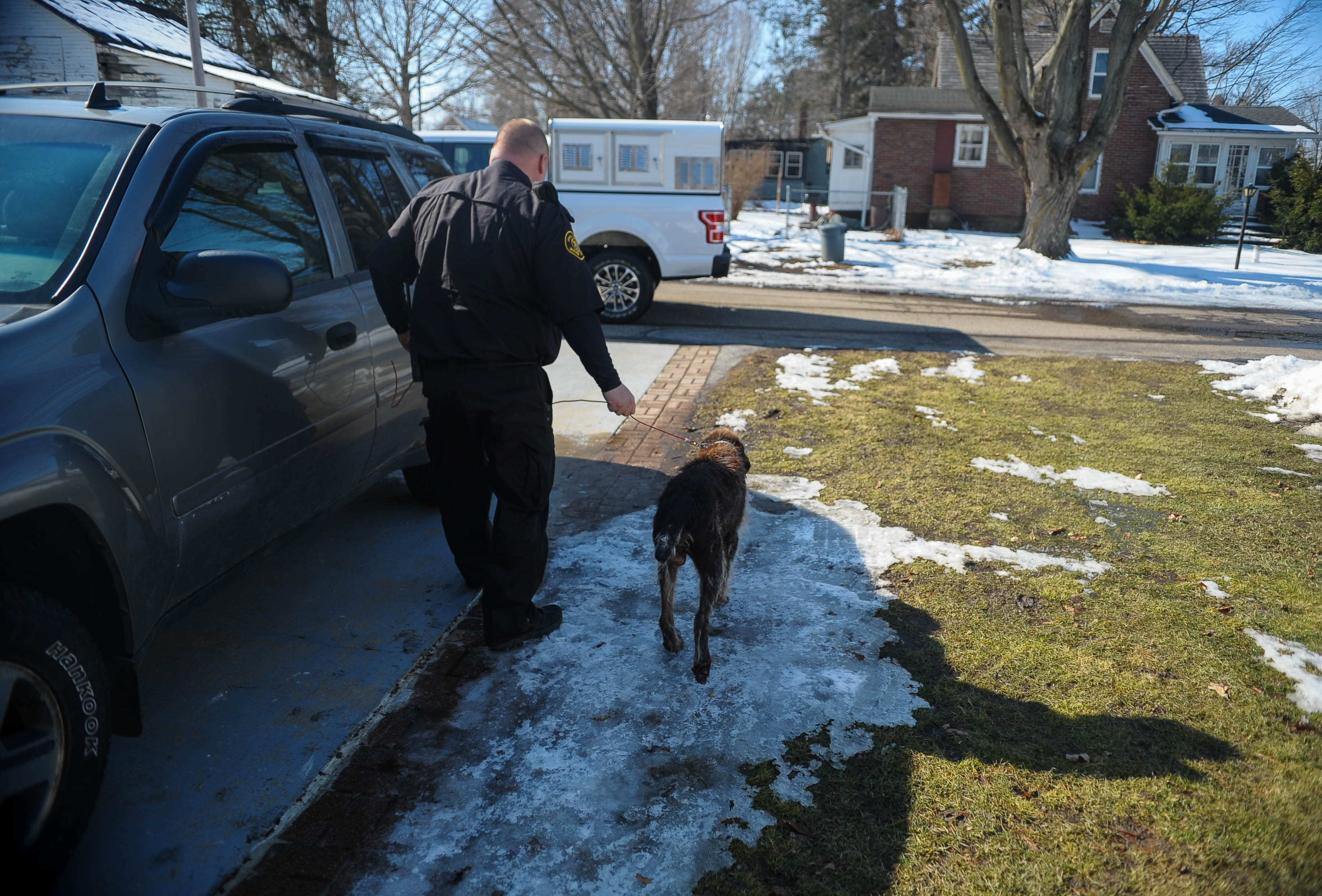Jackson County Animal Control back after being shut down in 2014 ...