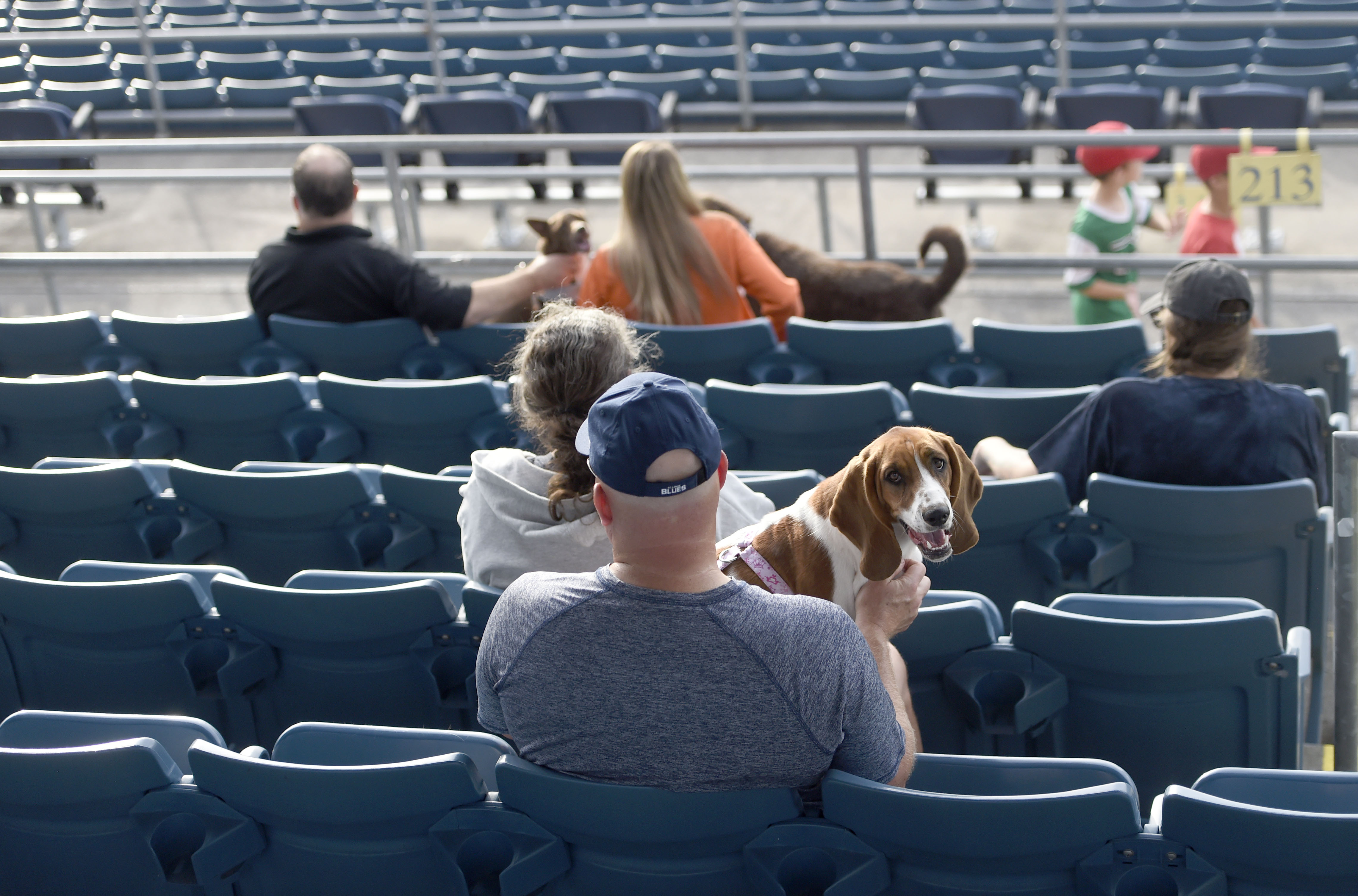 Bark in the Park Night at NBT Bank Stadium Bark in the Park Night at NBT Bank Stadium
