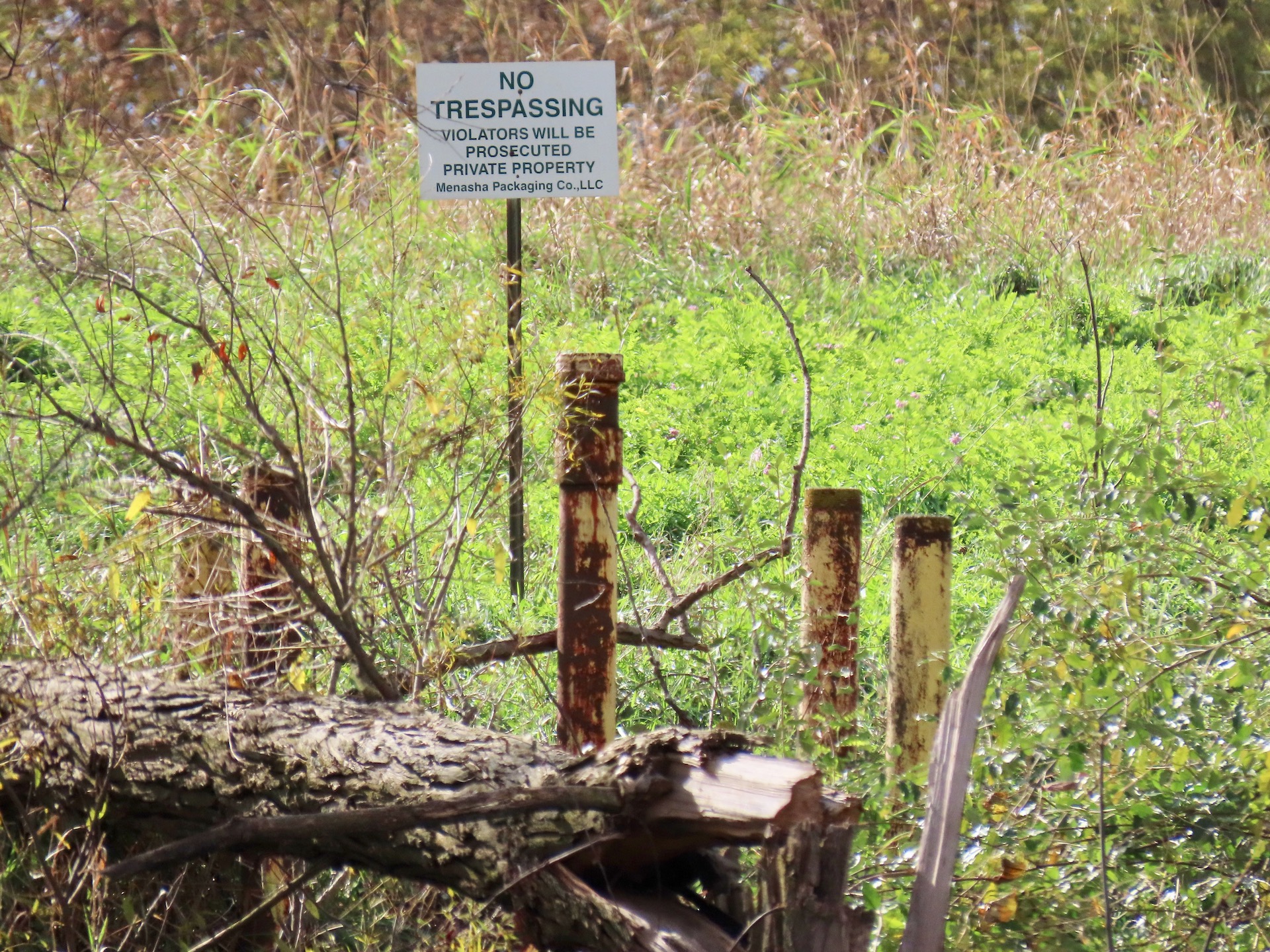 Otsego wants answers to paper sludge pollution concerns