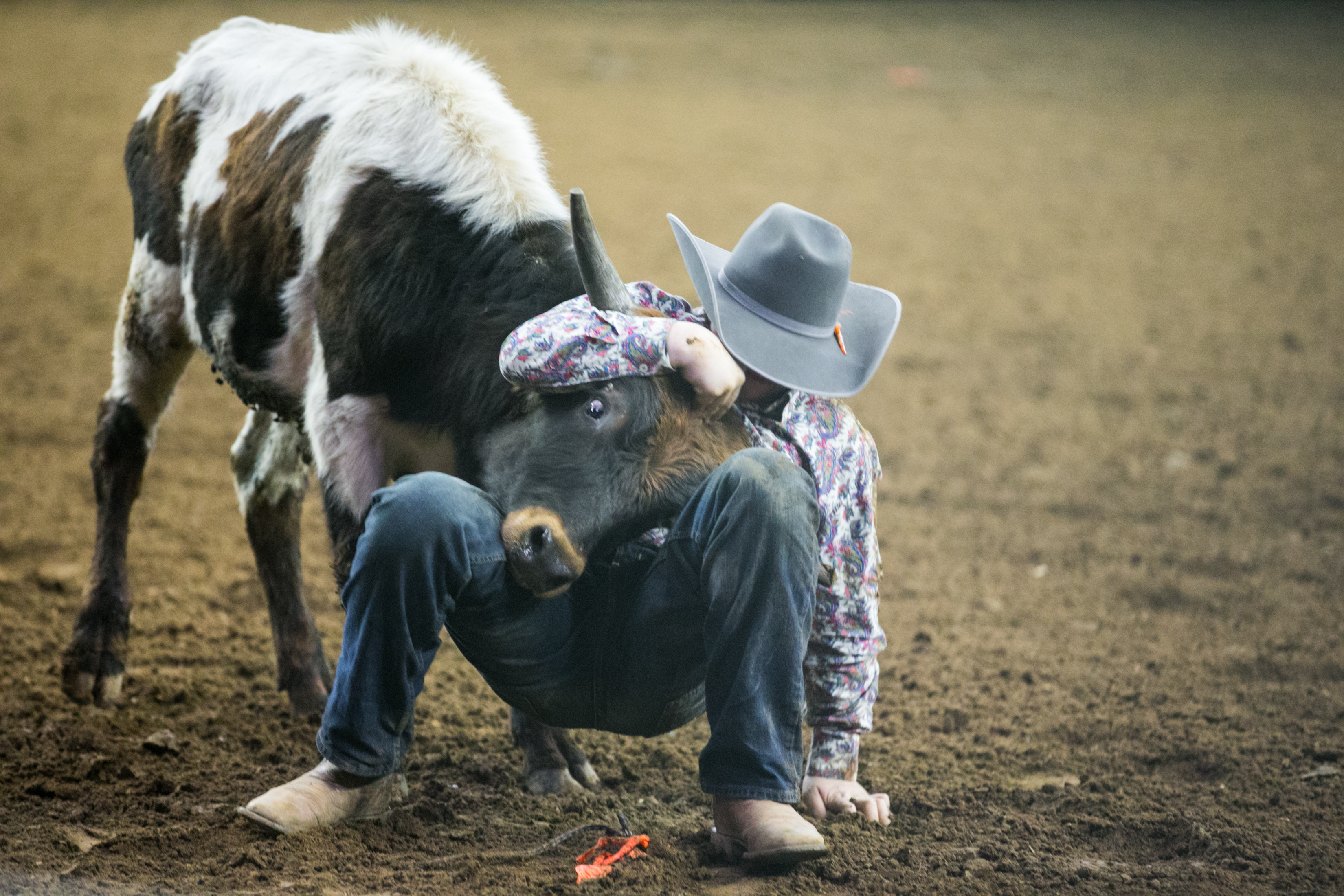 Pa Farm Show Rodeo Photos: Day 1 of the 2019 Pa. State Farm Show - pennlive.com