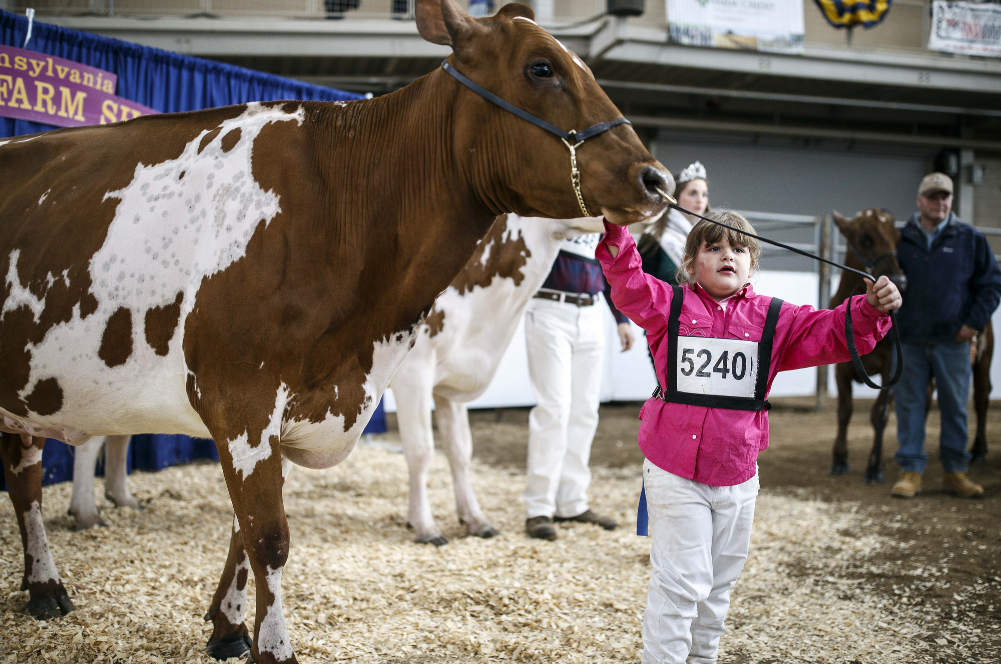 Guide To The 2020 Pa Farm Show Parking Prices Food Court Hours Free Shuttle And What S New Pennlive Com