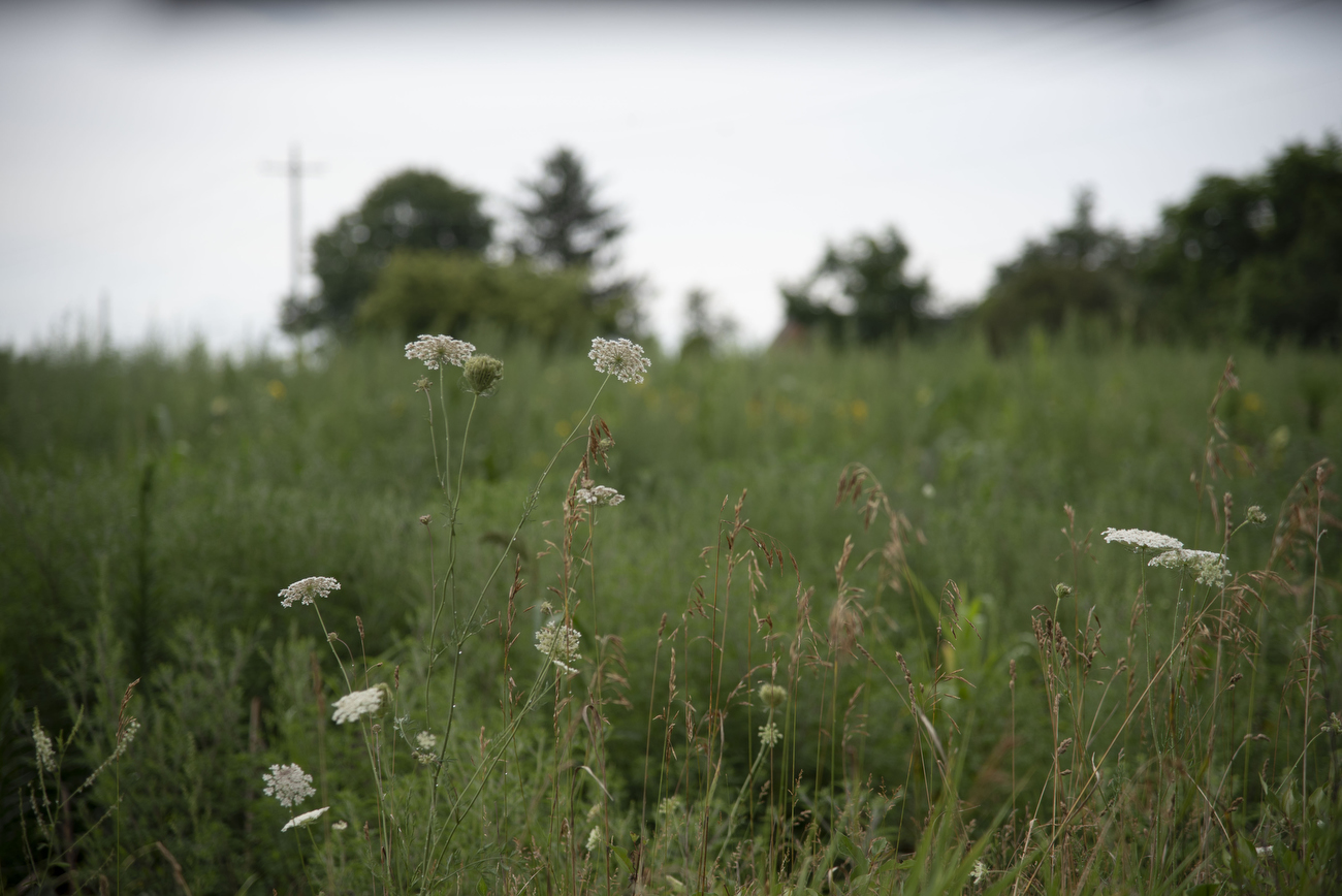 Scio Township Land Preservation Commission purchases plot of land