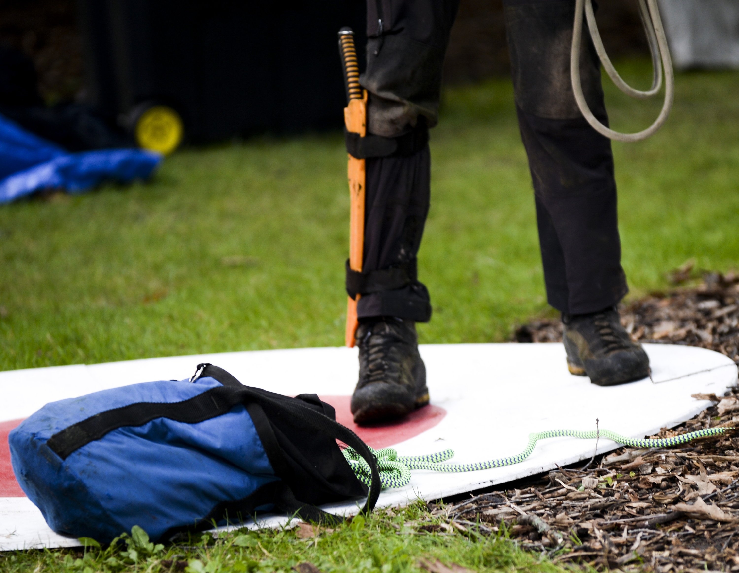 Michigan Tree Climbing Championship coming to Traverse City - mlive.com