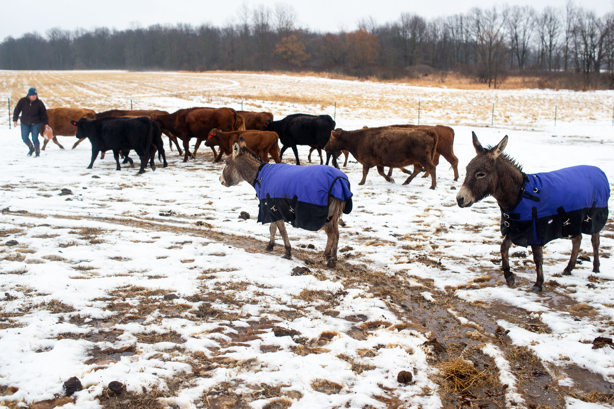 75acre proposed greenbelt farm at 7084 Spencer Road in Northfield