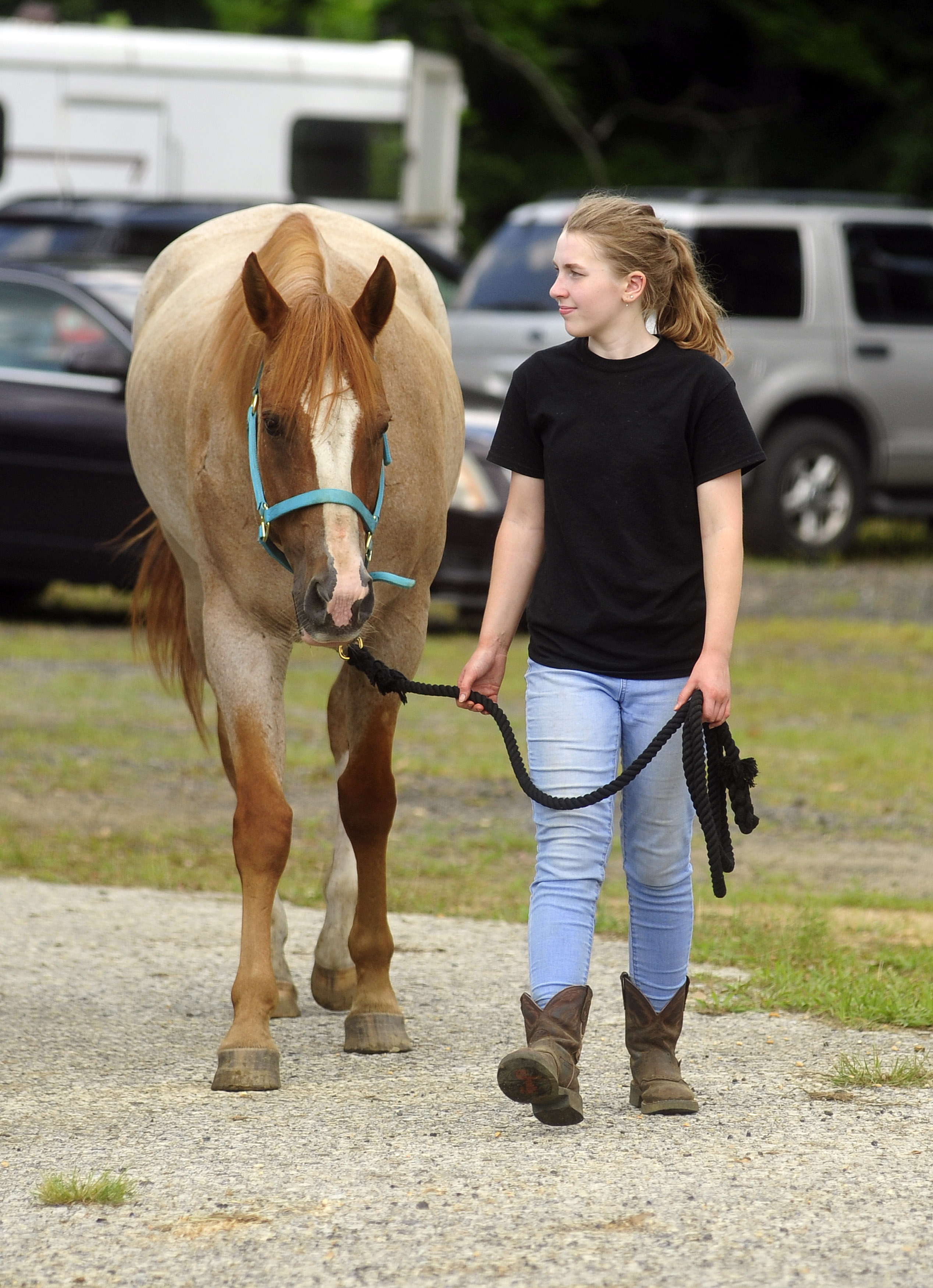 The 2019 Gloucester County 4H Fair