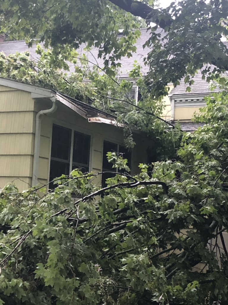 Storm rolls through Central New York knocking down trees, power lines ...