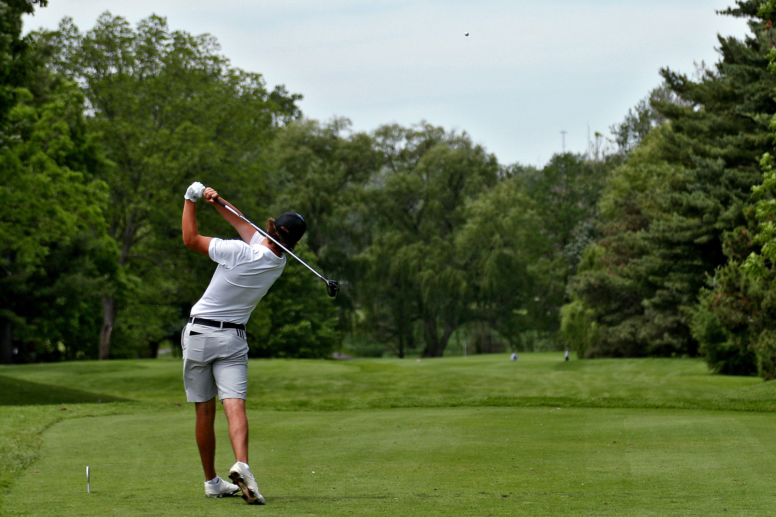 MHSAA Division 2 boys golf ginals - June 8, 2019 - mlive.com