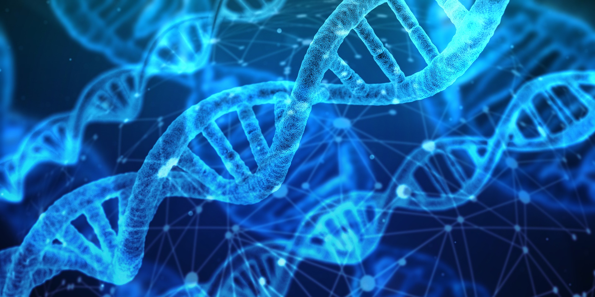 dna testing