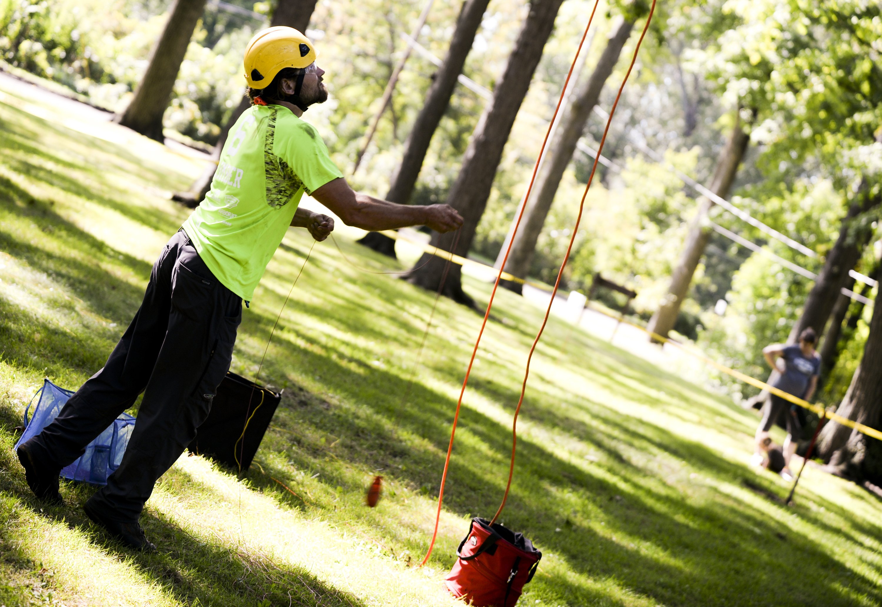Michigan Tree Climbing Championship coming to Traverse City - mlive.com