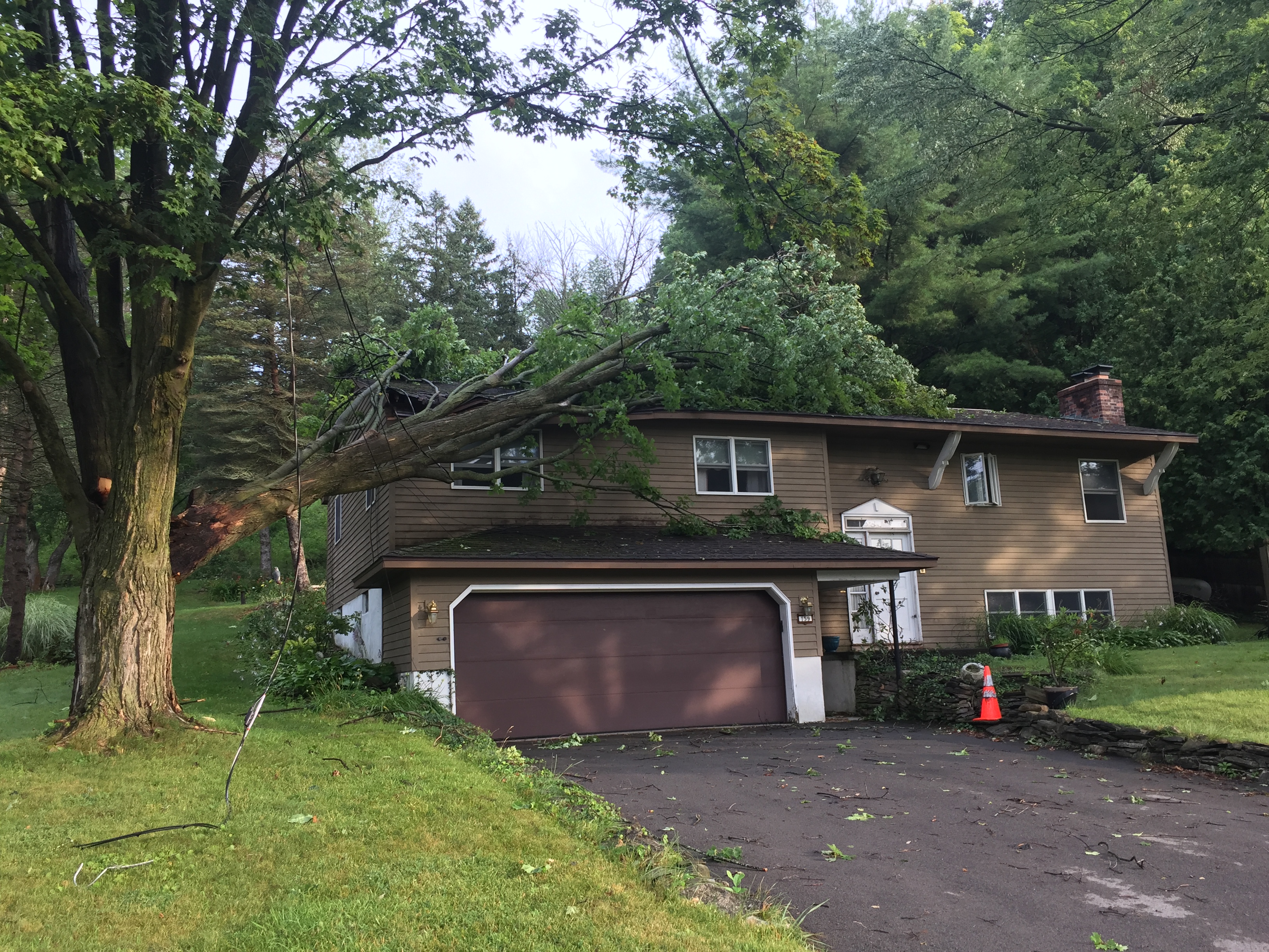 Storm rolls through Central New York knocking down trees, power lines ...