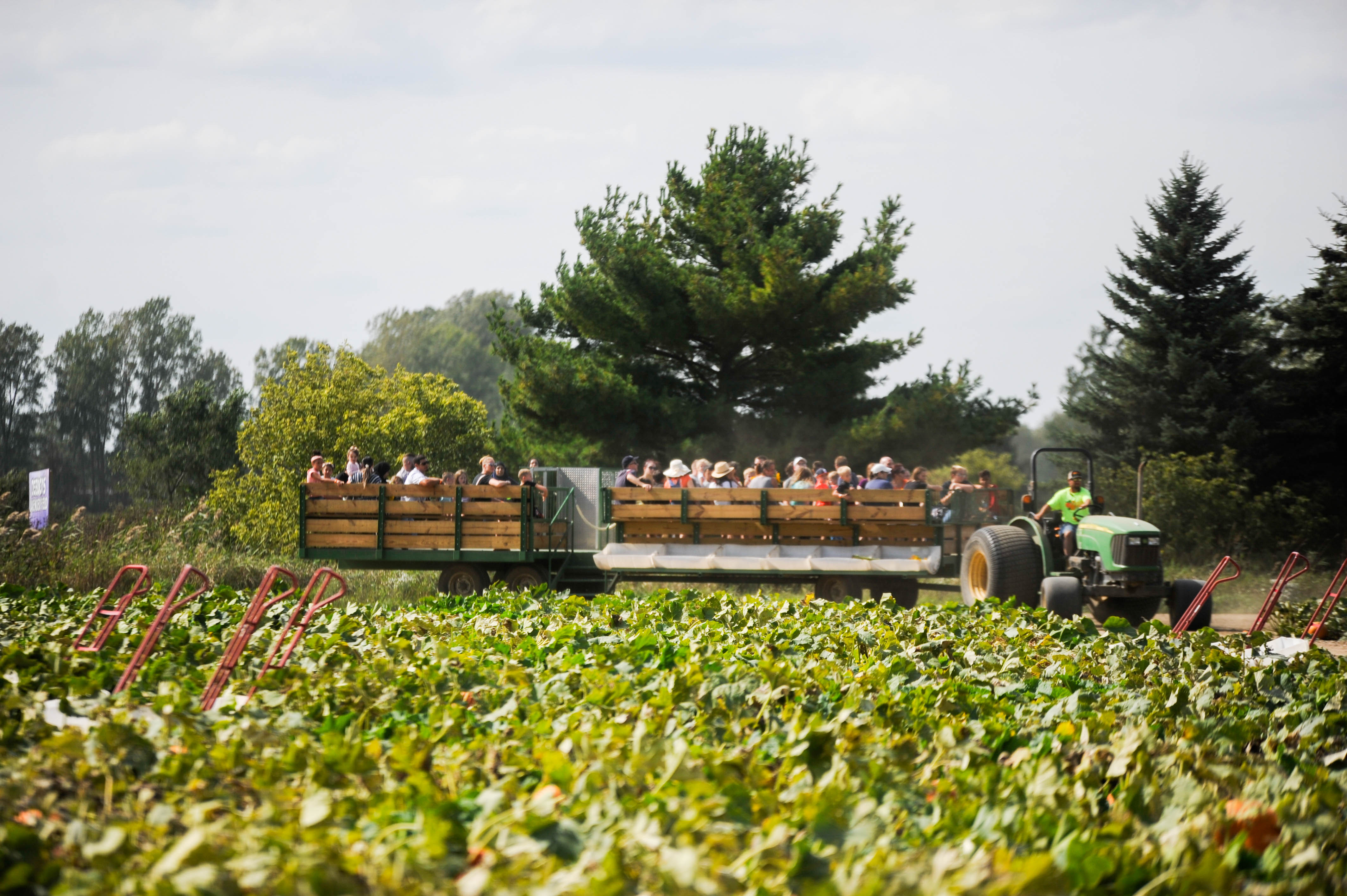 Family fun at DeBuck's Corn Maze and Pumpkin Patch - mlive.com