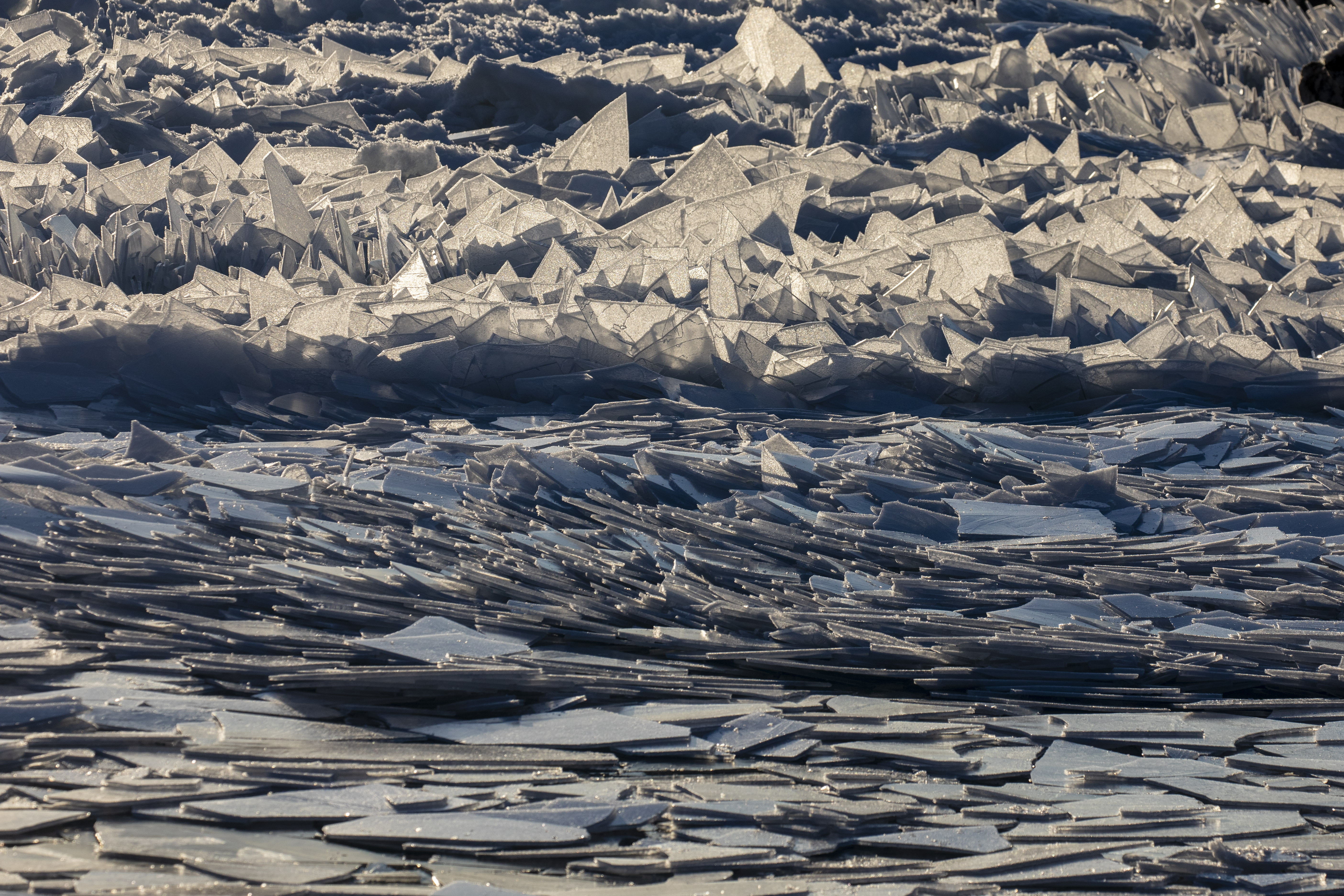 Gorgeous ice shards are piling up along Lake Michigan - mlive.com