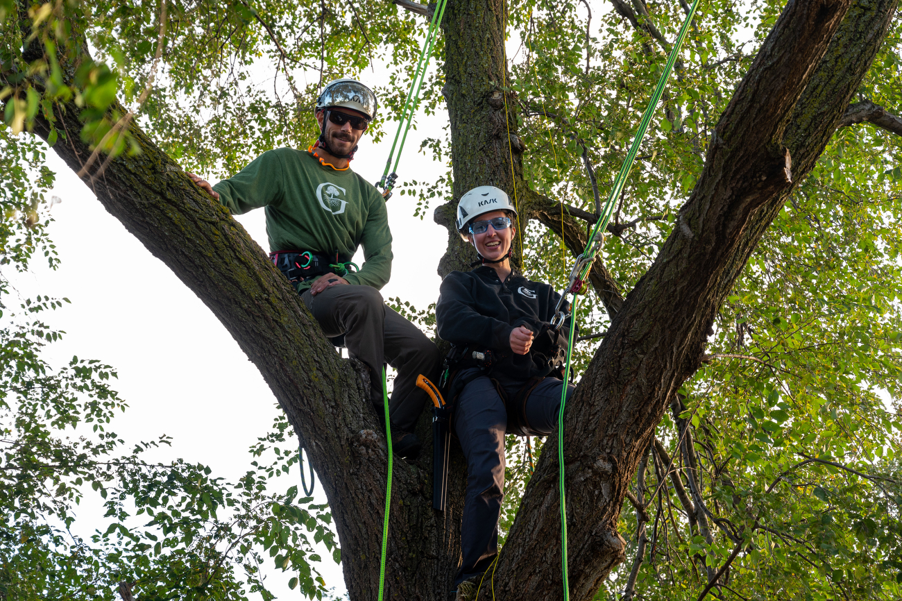 Guardian Tree Experts climbers win Michigan Tree Climbing Championship ...
