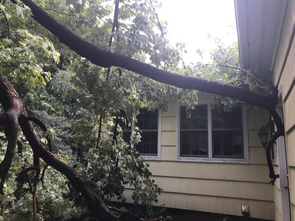 Storm rolls through Central New York knocking down trees, power lines ...