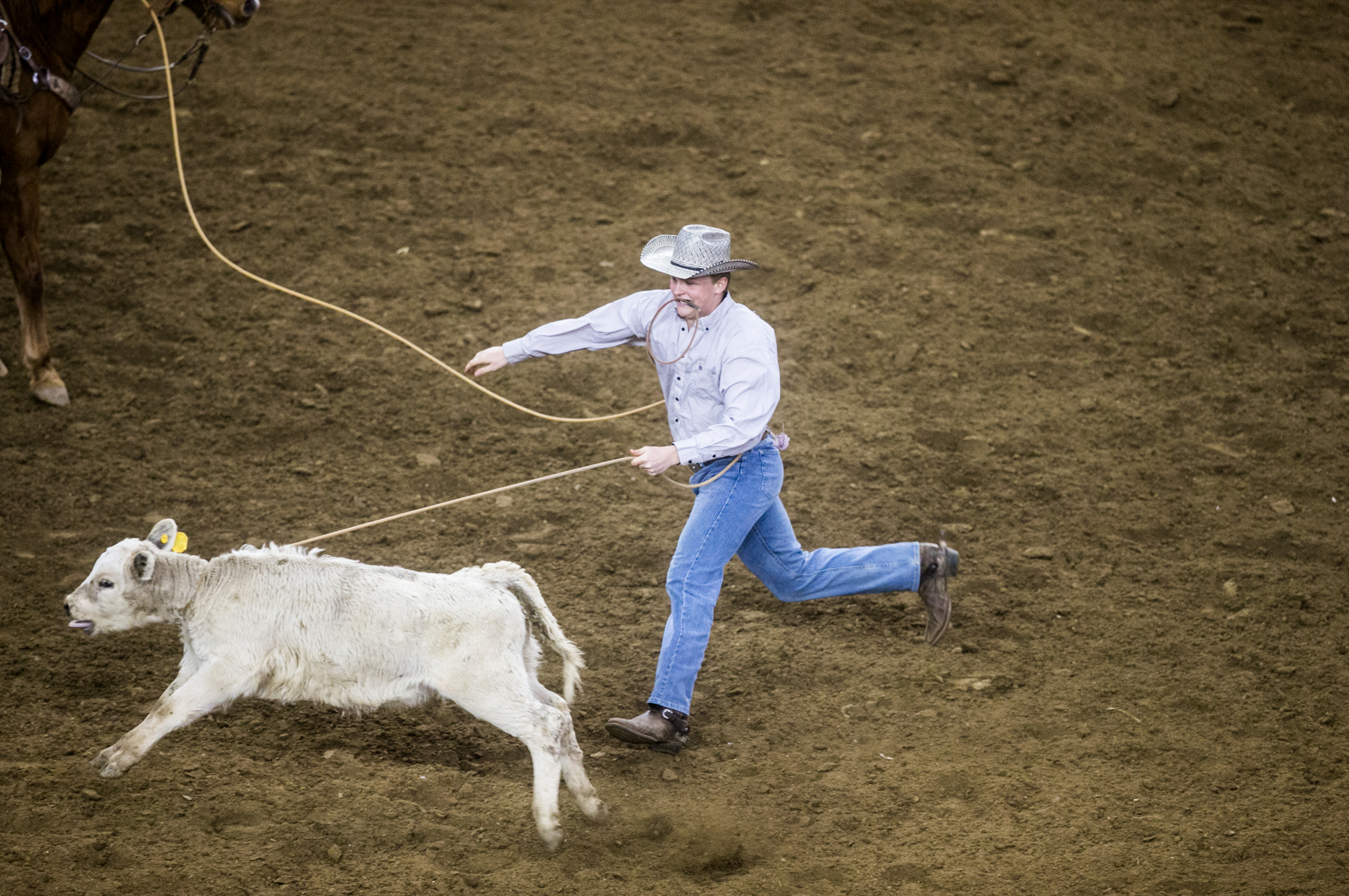 Pa Farm Show Rodeo Photos: Day 1 of the 2019 Pa. State Farm Show - pennlive.com