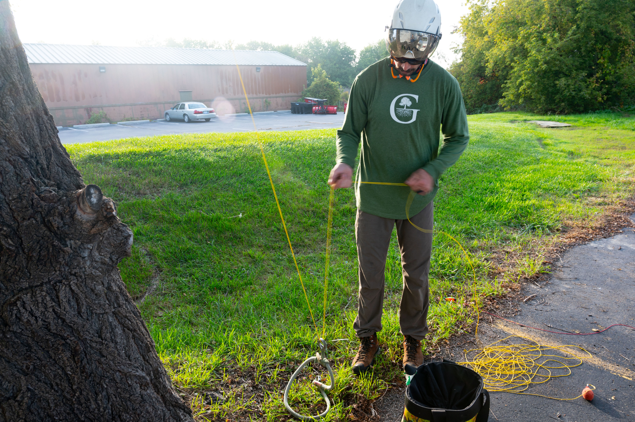 Guardian Tree Experts climbers win Michigan Tree Climbing Championship ...