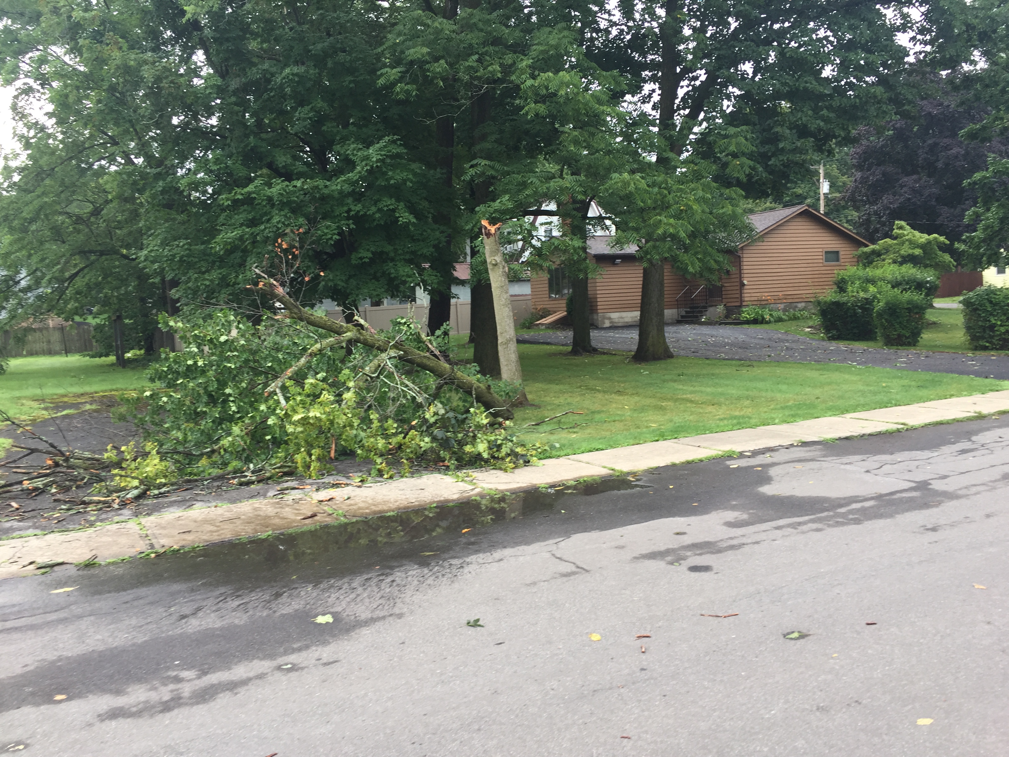 Storm rolls through Central New York knocking down trees, power lines ...