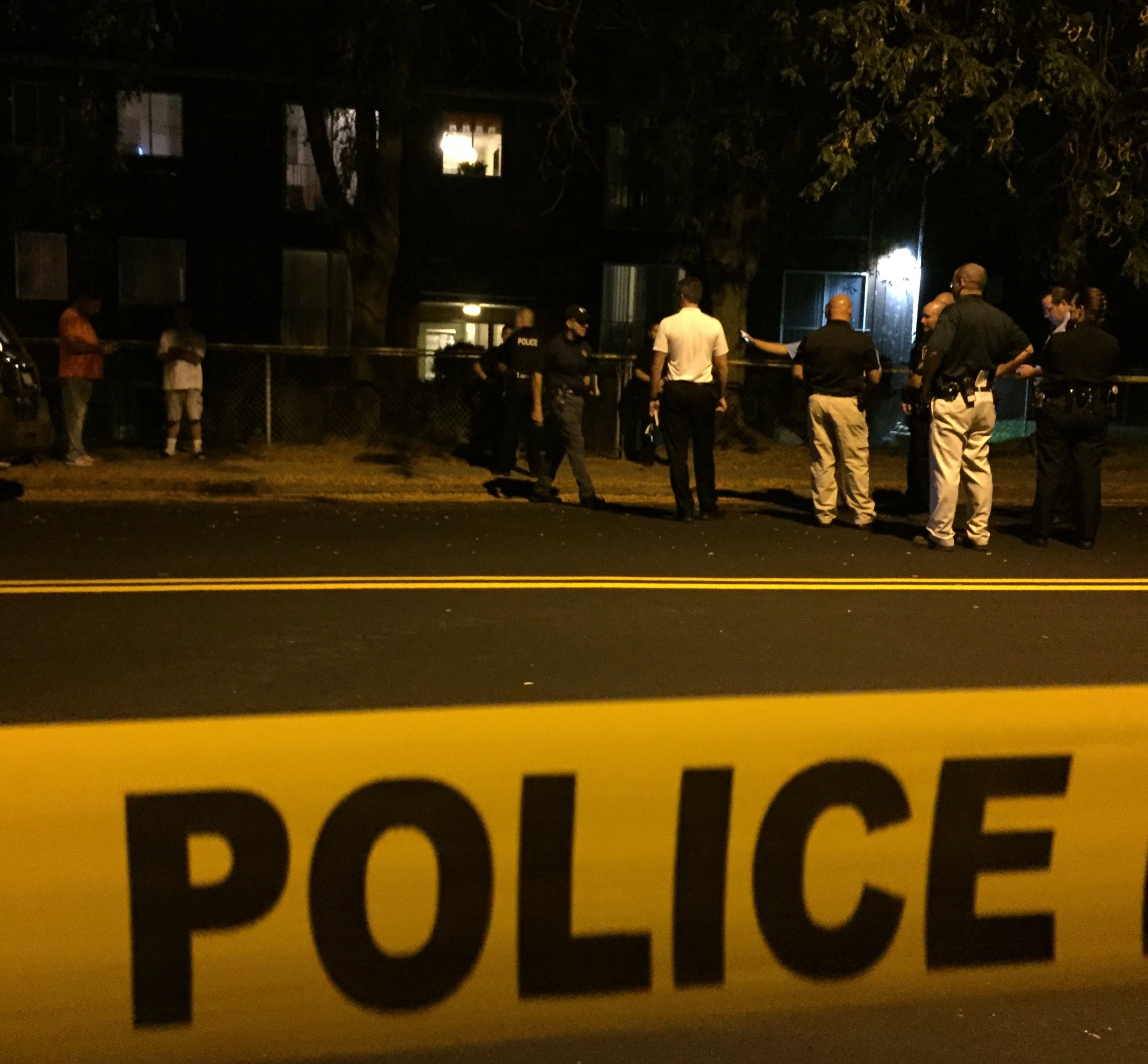 Inside Hornell'S Police Blotter: The Latest Arrests & Incidents - q0pdtdd