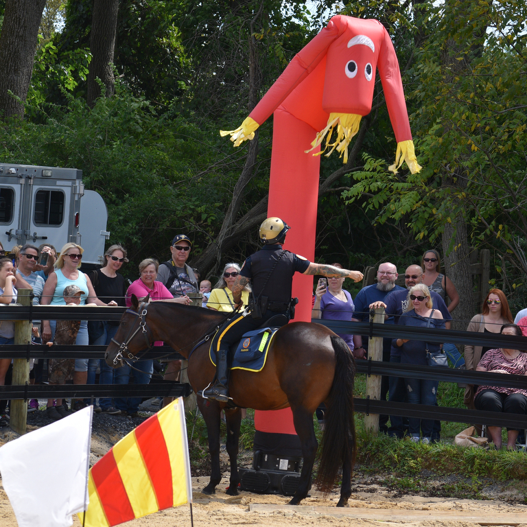 Bethlehem Mounted Police mark 10th anniversary with open house ...