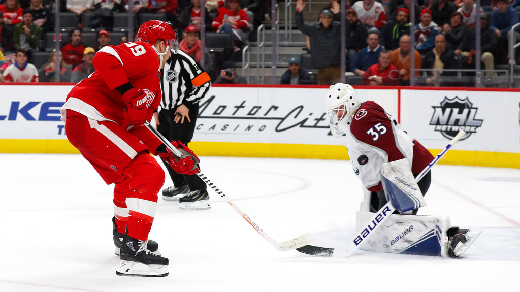 anthony mantha stick