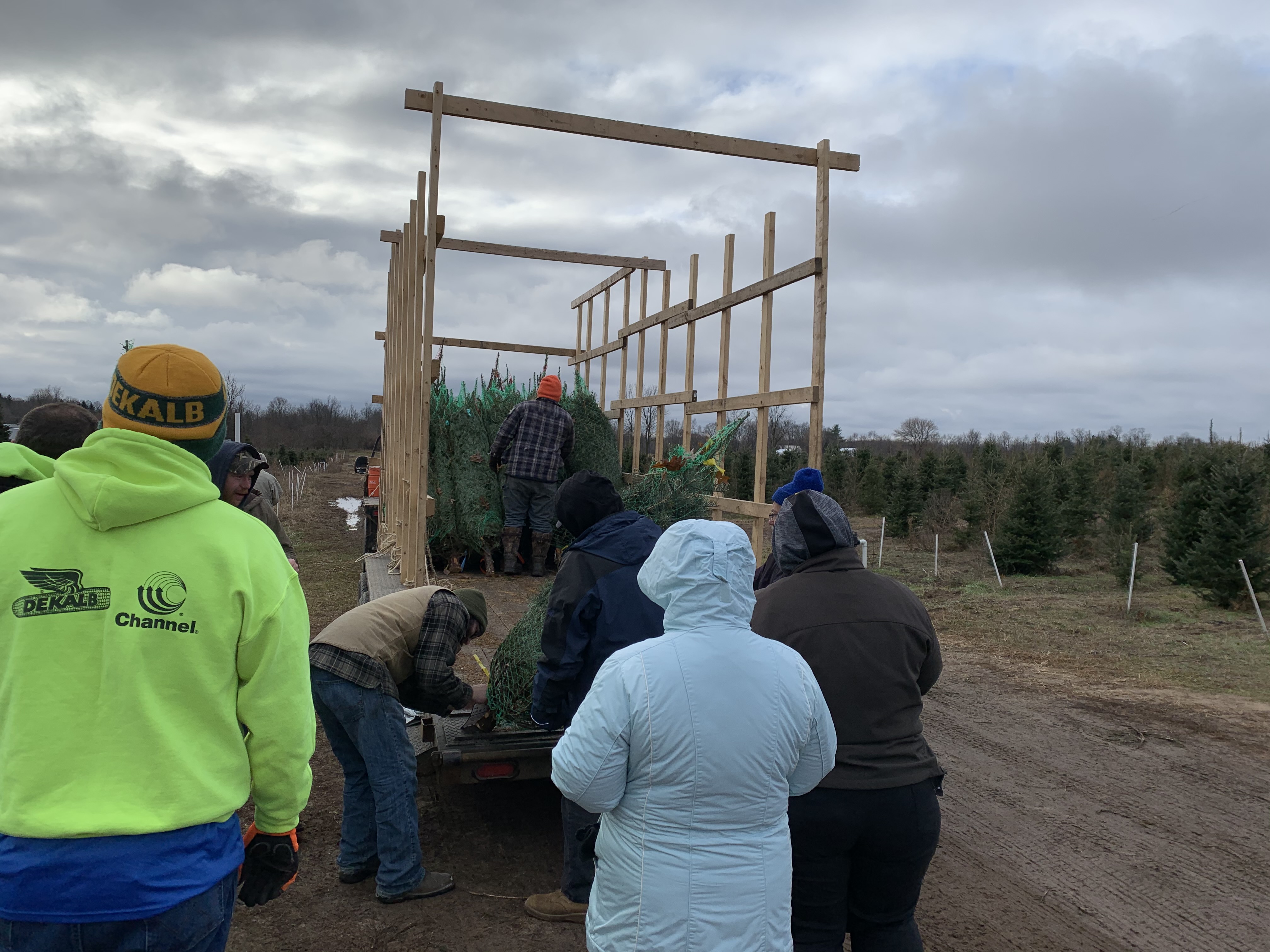 Volunteers load 500 Christmas trees for Trees for Troops at Wahmhoff