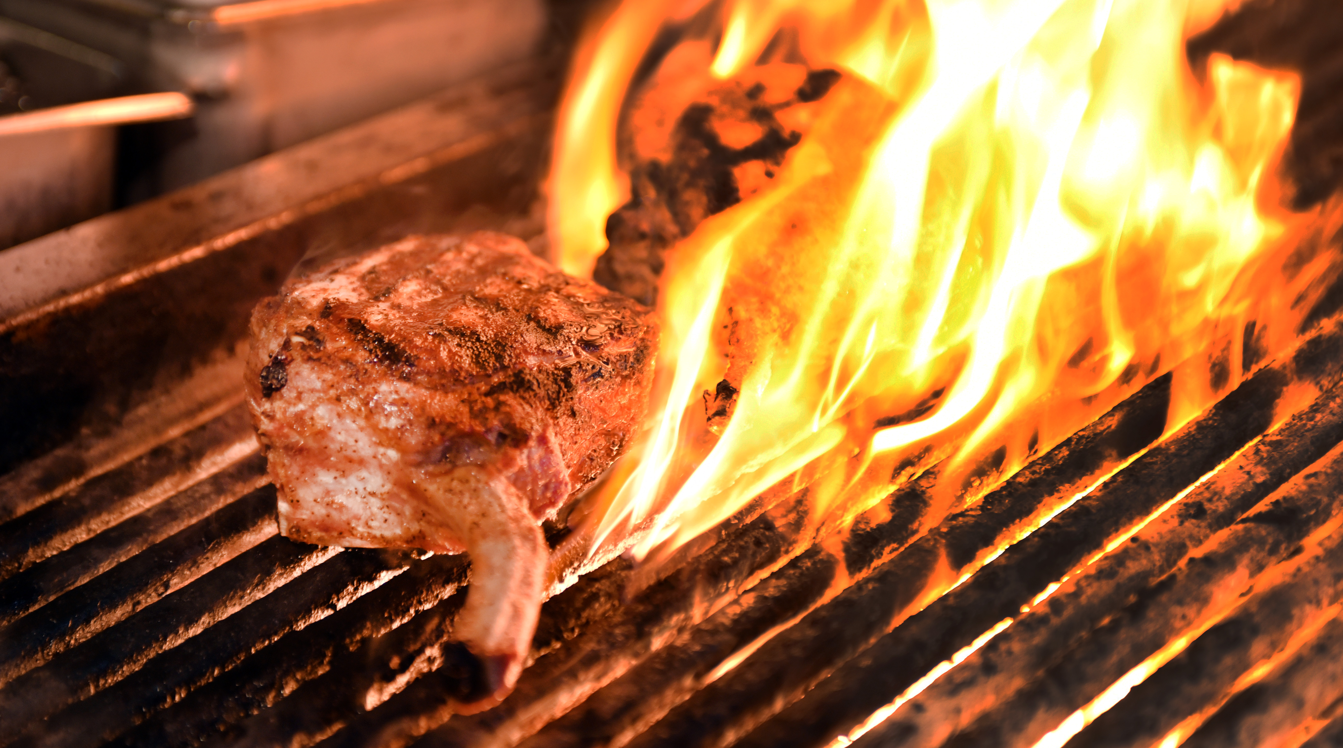 Restaurant Photos: Max's Tavern in Springfield - masslive.com