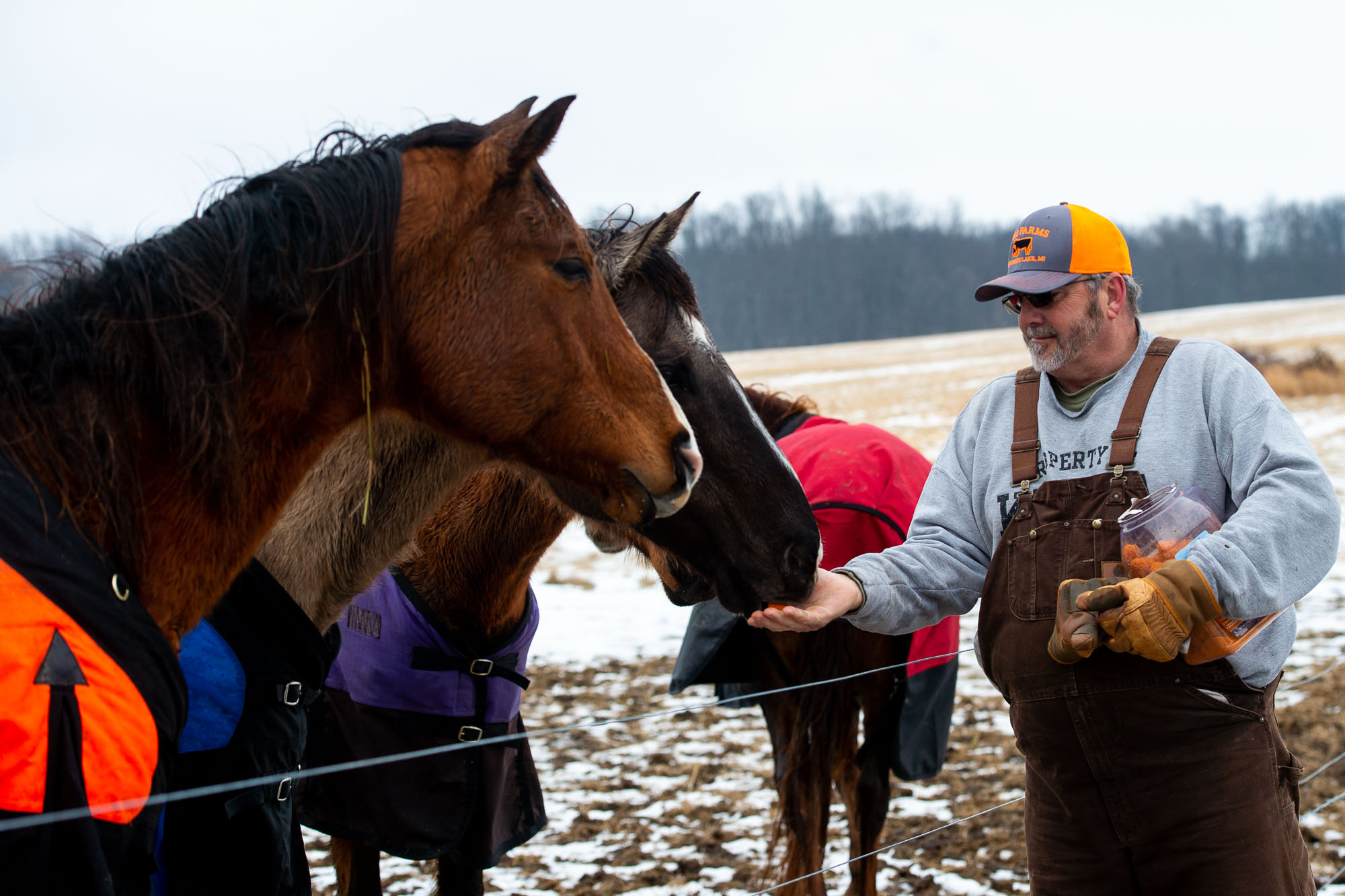 75acre proposed greenbelt farm at 7084 Spencer Road in Northfield