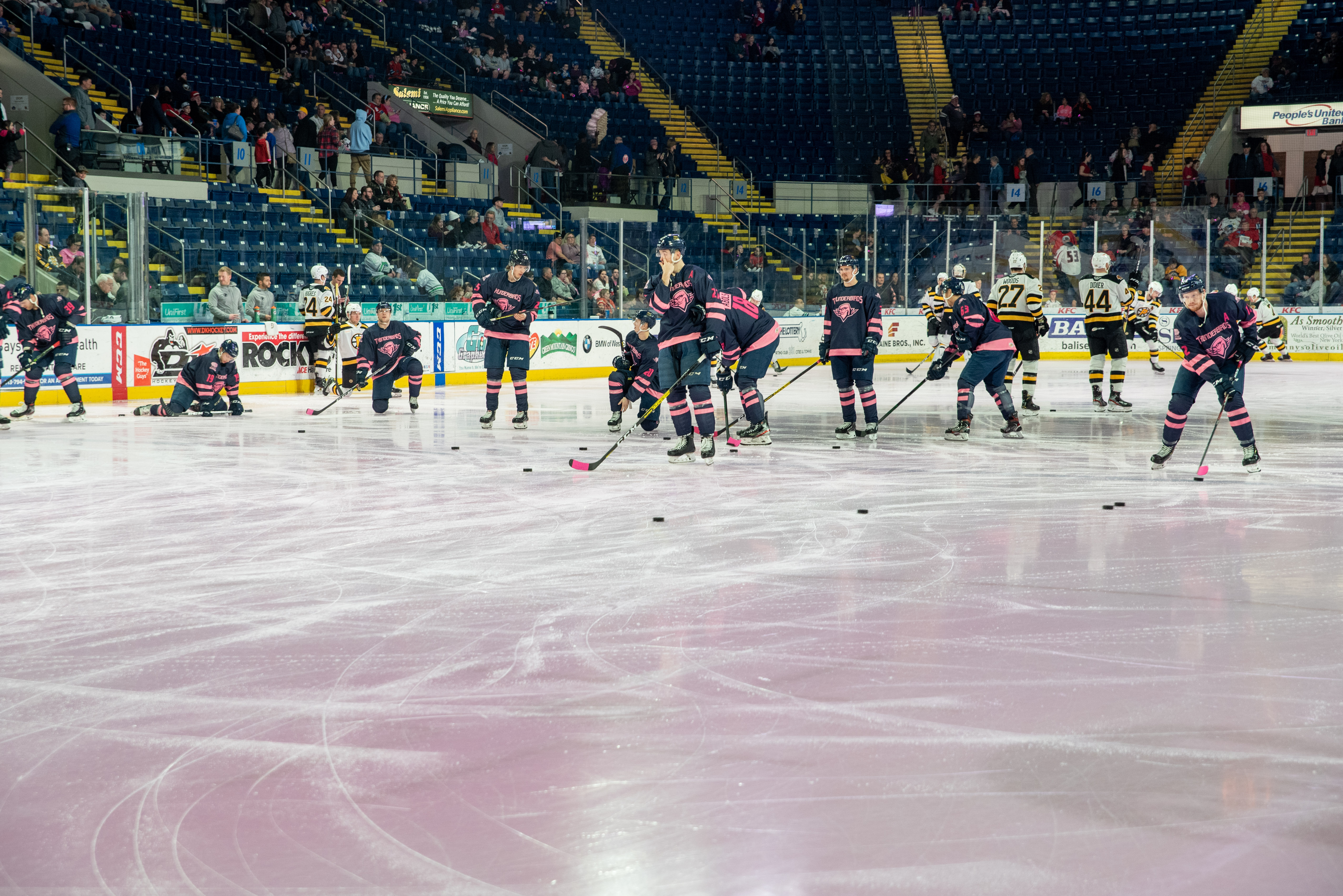 Springfield Rink Pa Seen@ The Springfield Thunderbirds Pink in the Rink Night - masslive.com