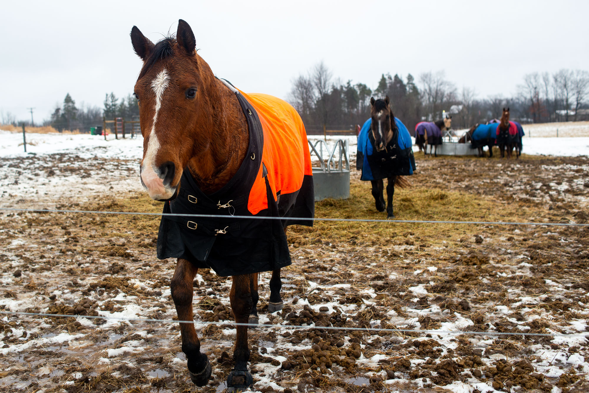 75acre proposed greenbelt farm at 7084 Spencer Road in Northfield